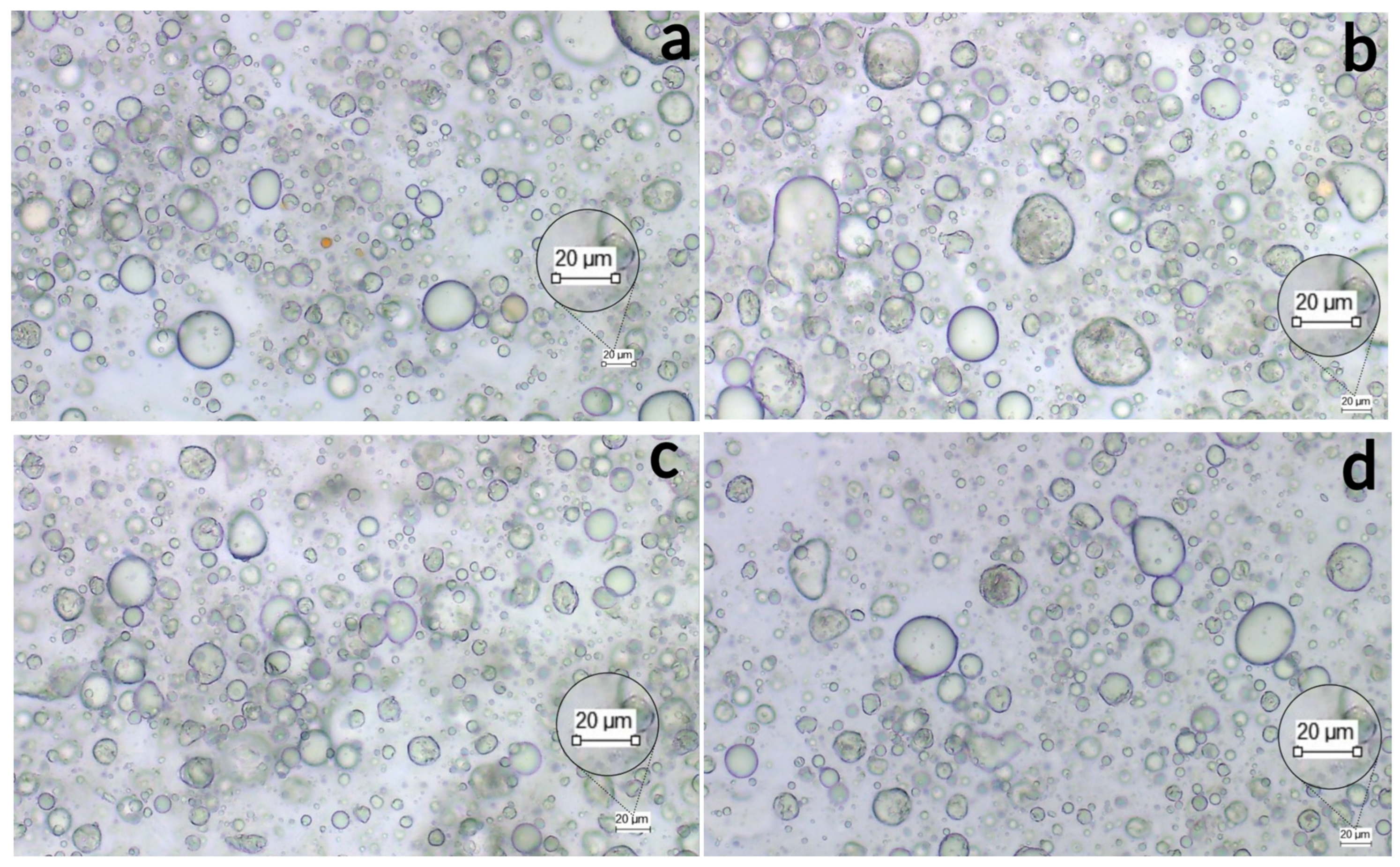 Cosmetics 12 00248 g002