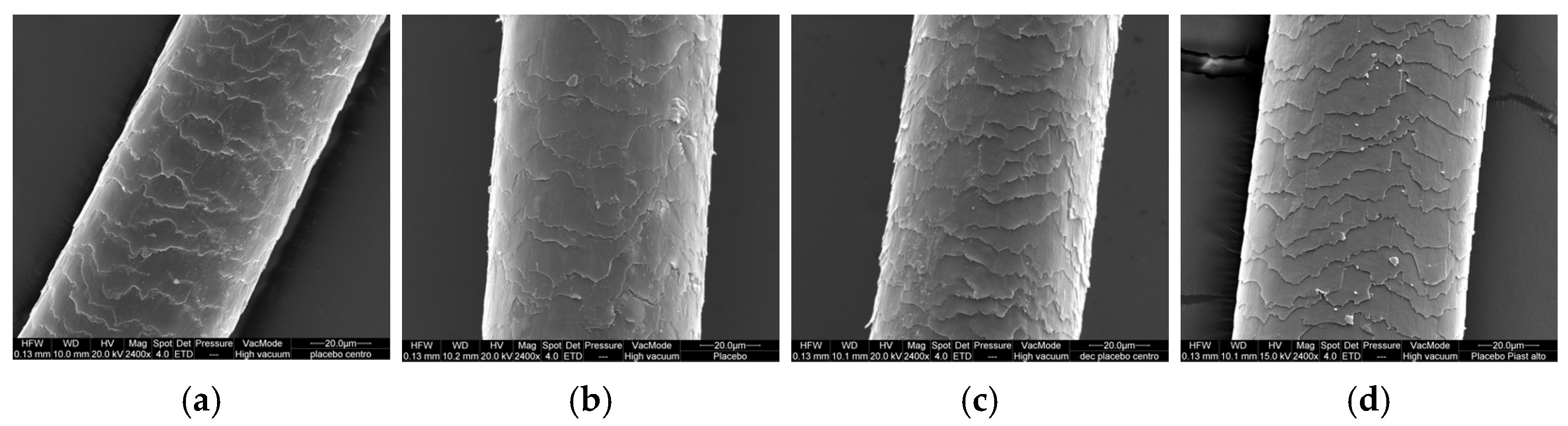 Cosmetics 12 00249 g006