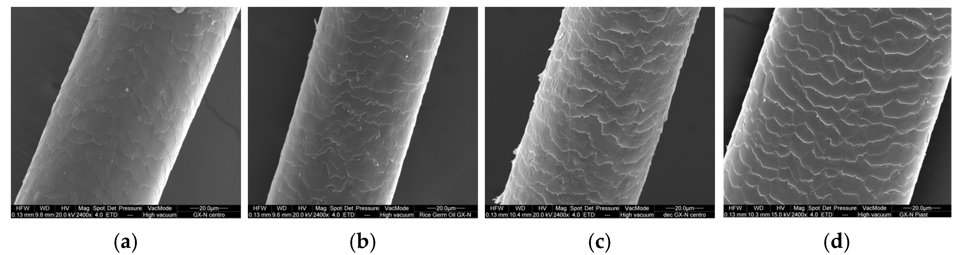 Cosmetics 12 00249 g007