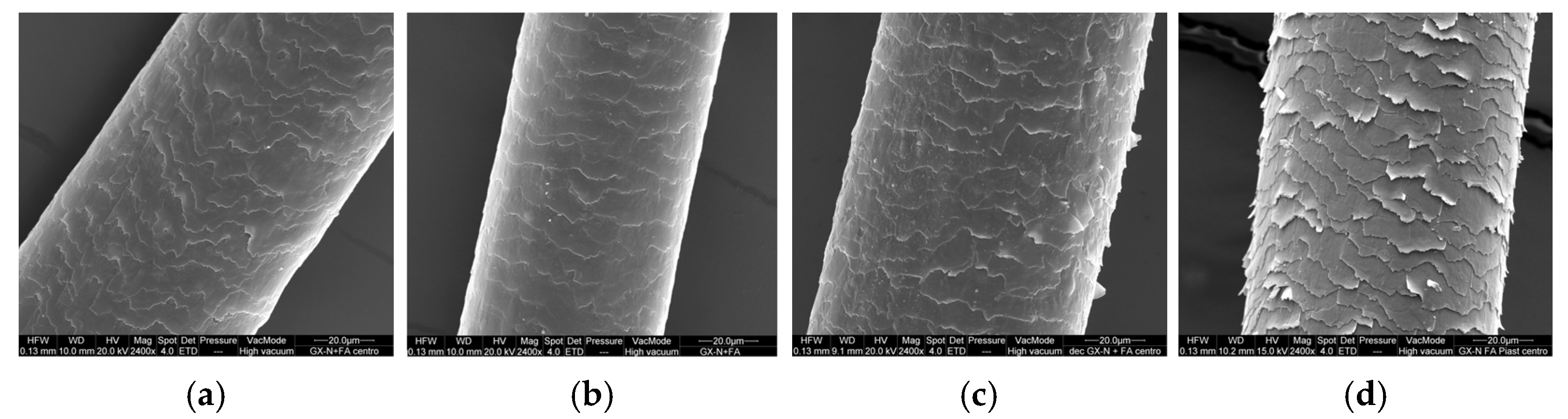 Cosmetics 12 00249 g008