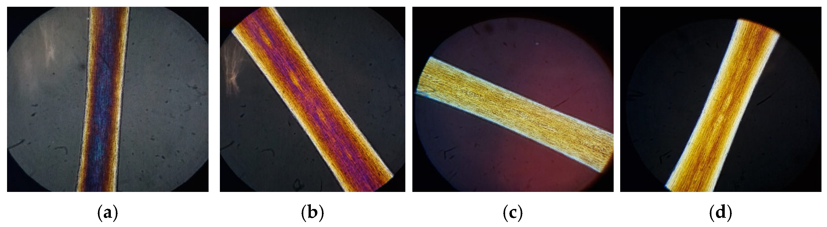 Cosmetics 12 00249 g011