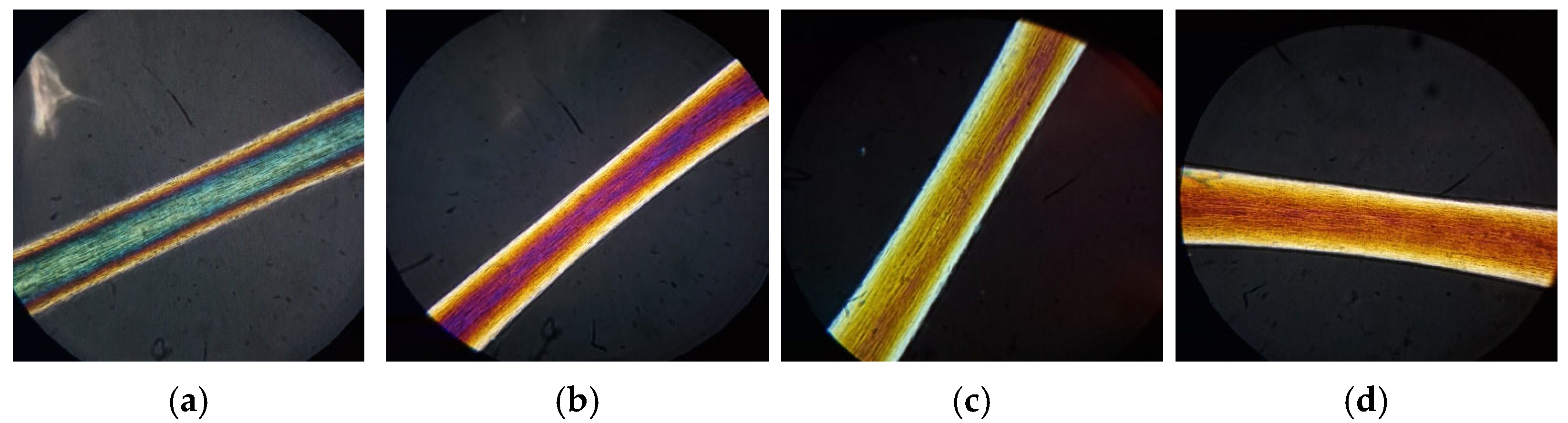 Cosmetics 12 00249 g012