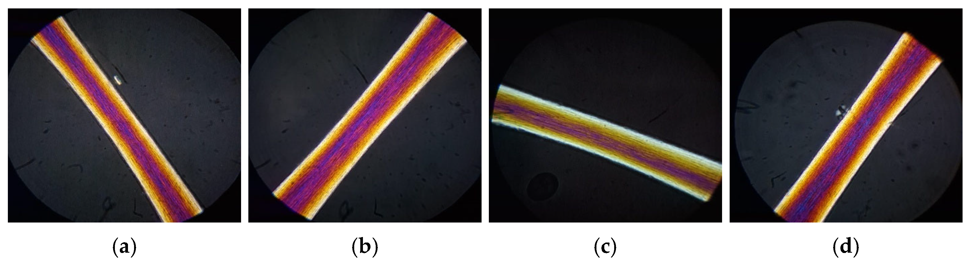 Cosmetics 12 00249 g013