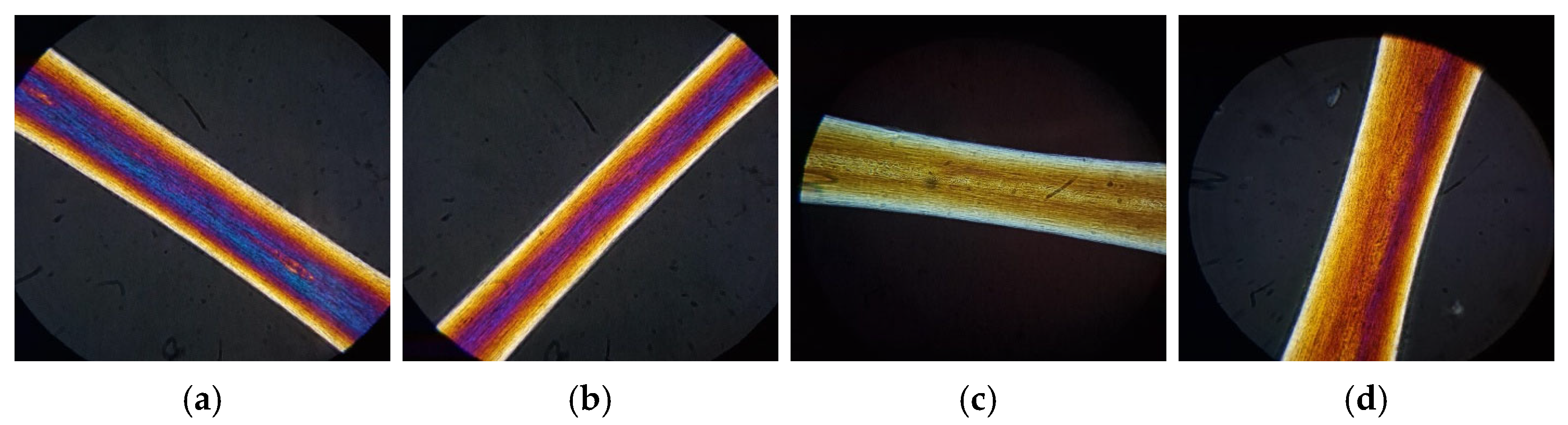 Cosmetics 12 00249 g014