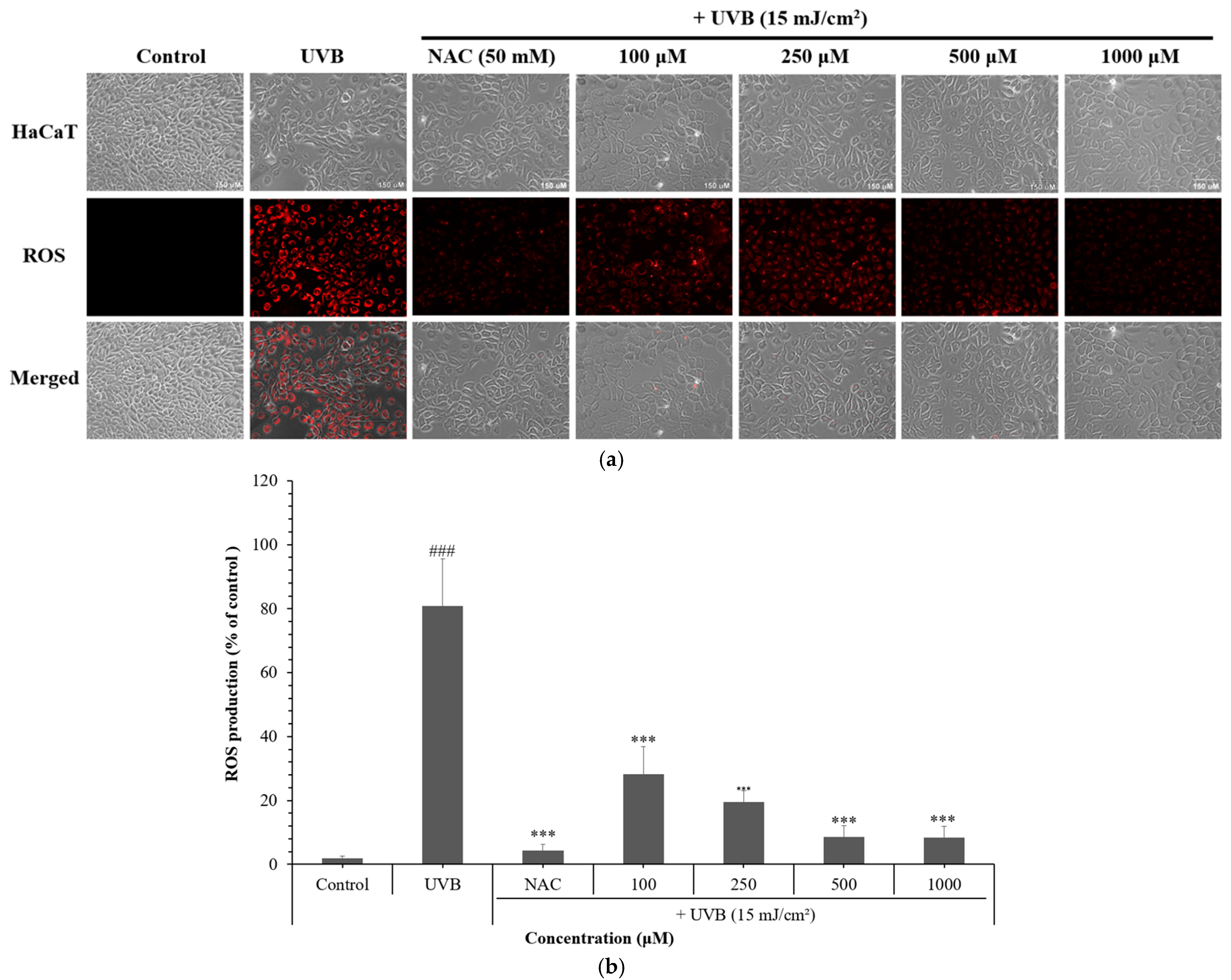Cosmetics 12 00250 g002