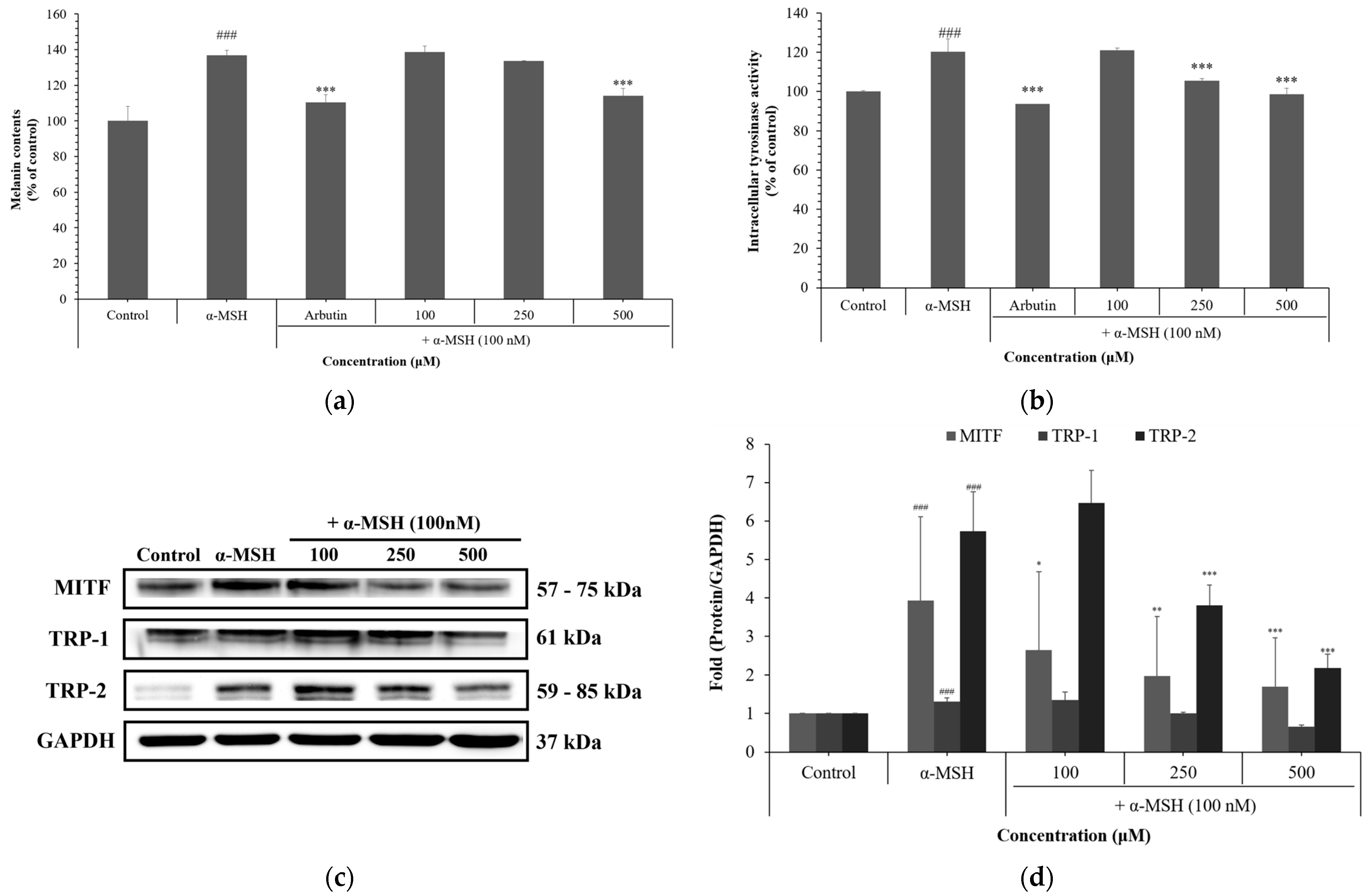 Cosmetics 12 00250 g004