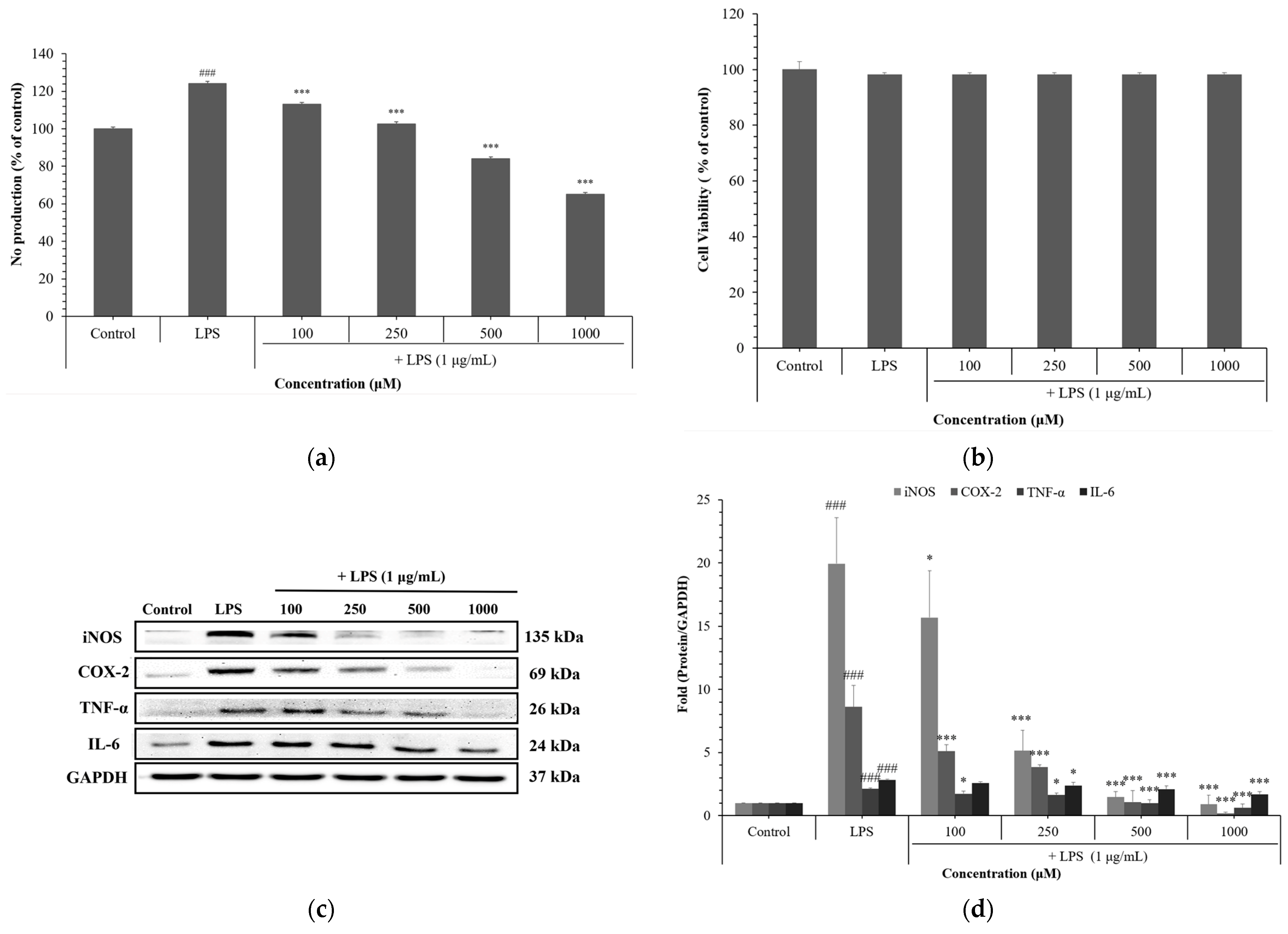Cosmetics 12 00250 g005