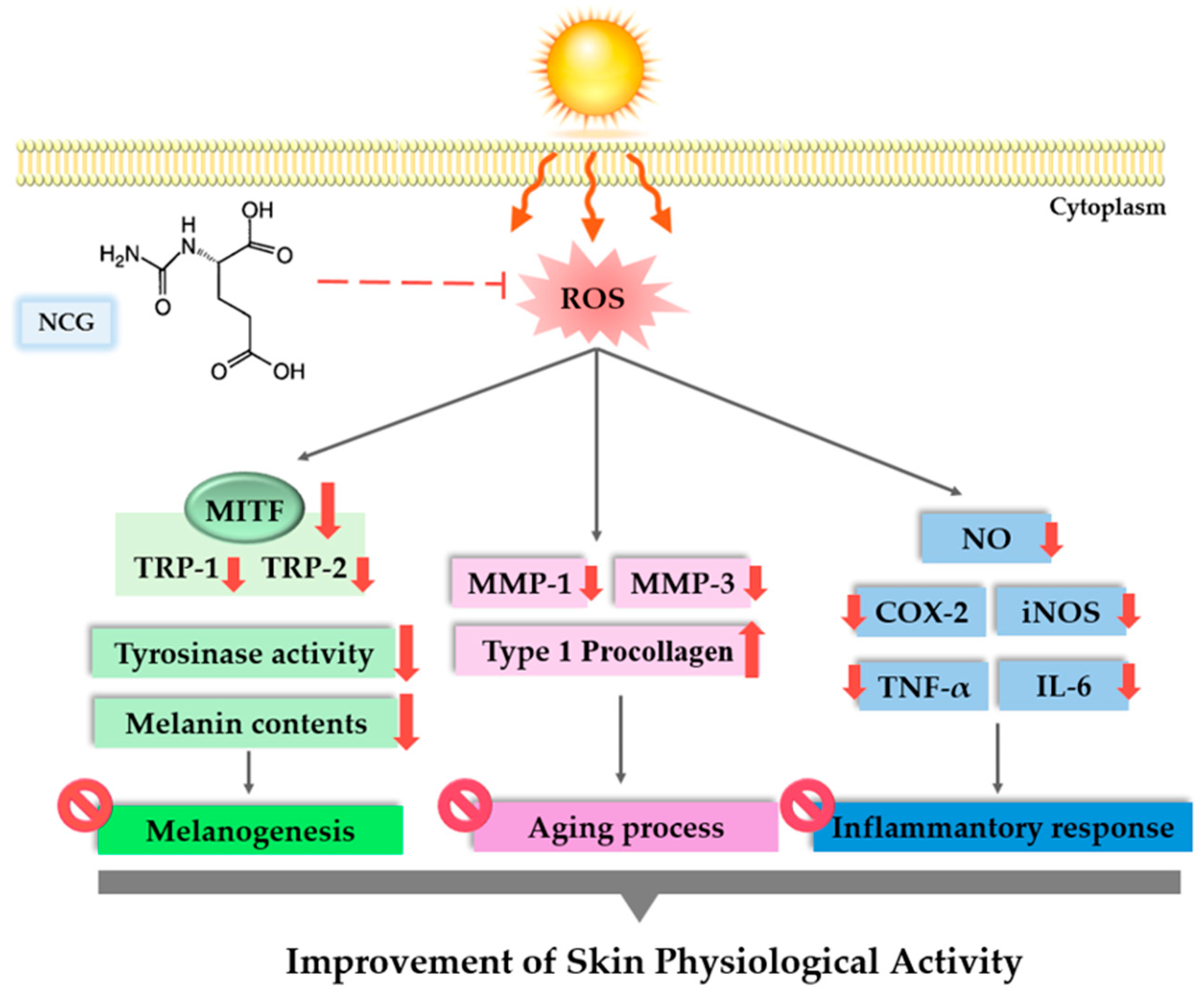 Cosmetics 12 00250 g006