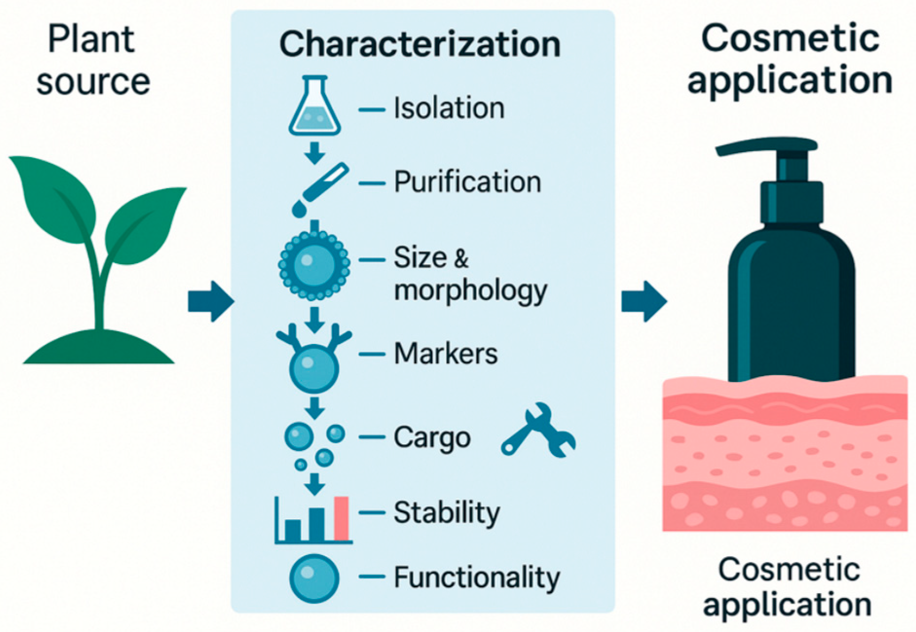 Cosmetics 12 00252 g001