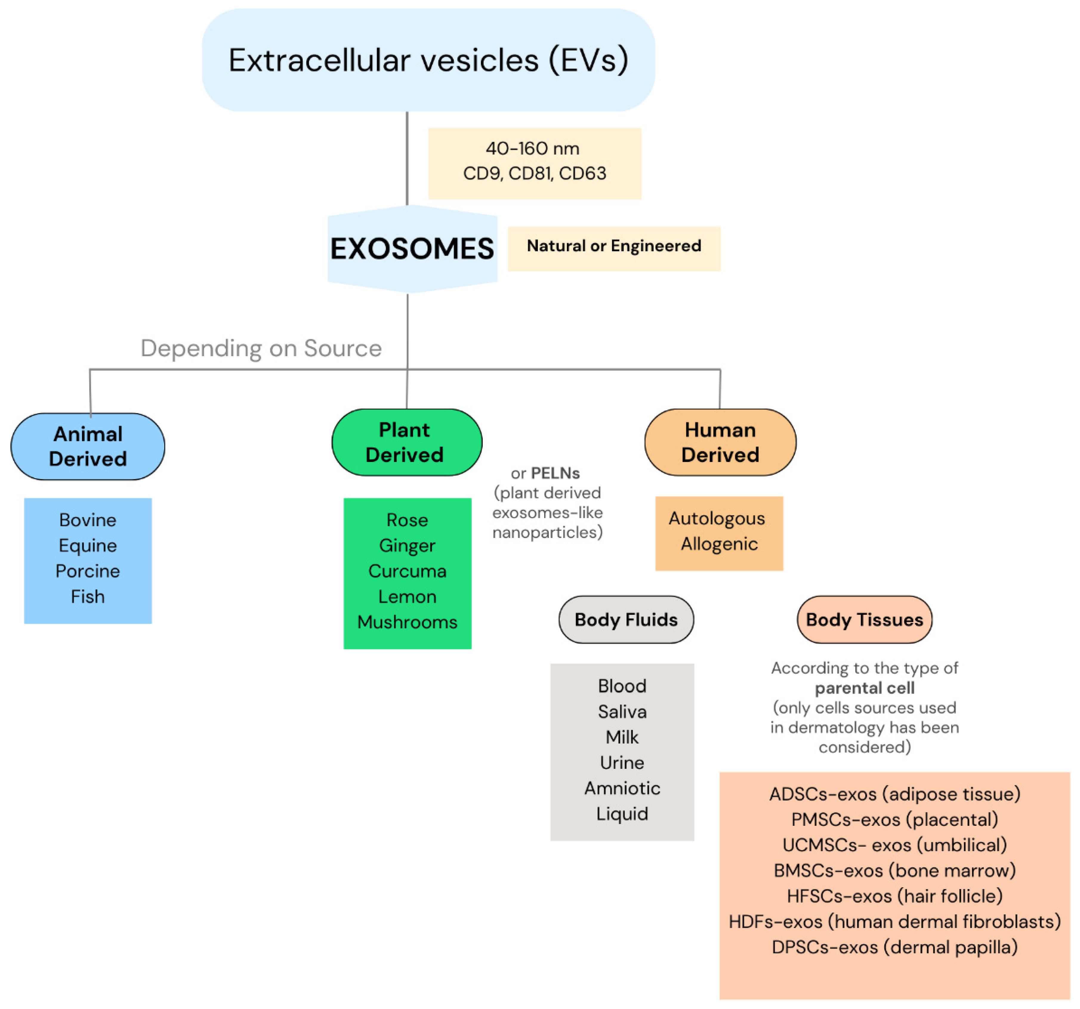 Cosmetics 12 00254 g001