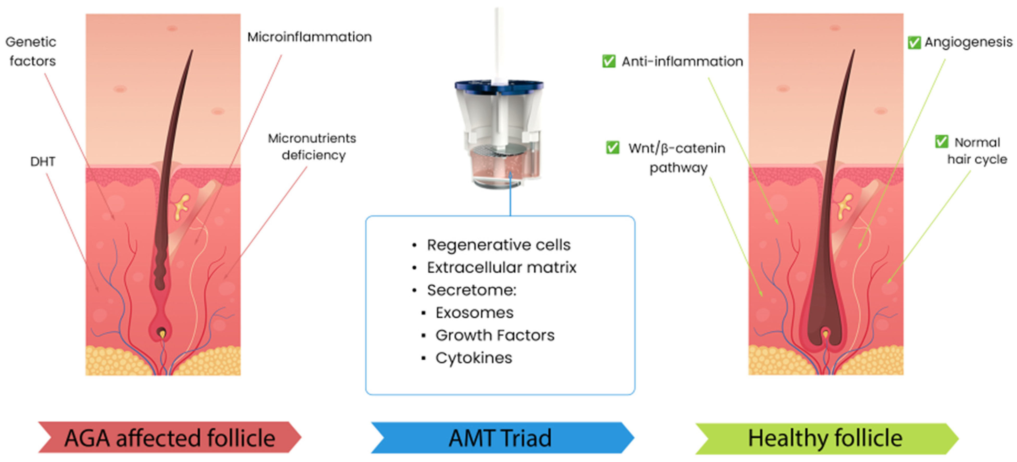 Cosmetics 12 00254 g002