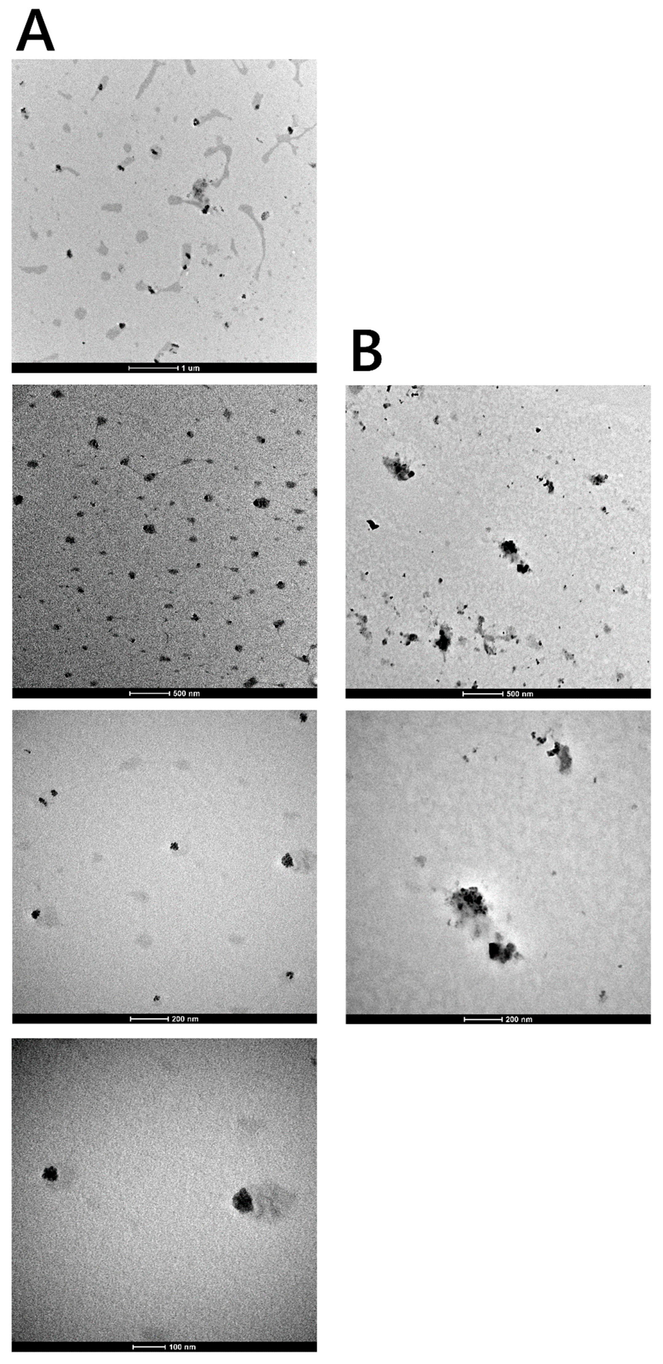 Cosmetics 12 00255 g006