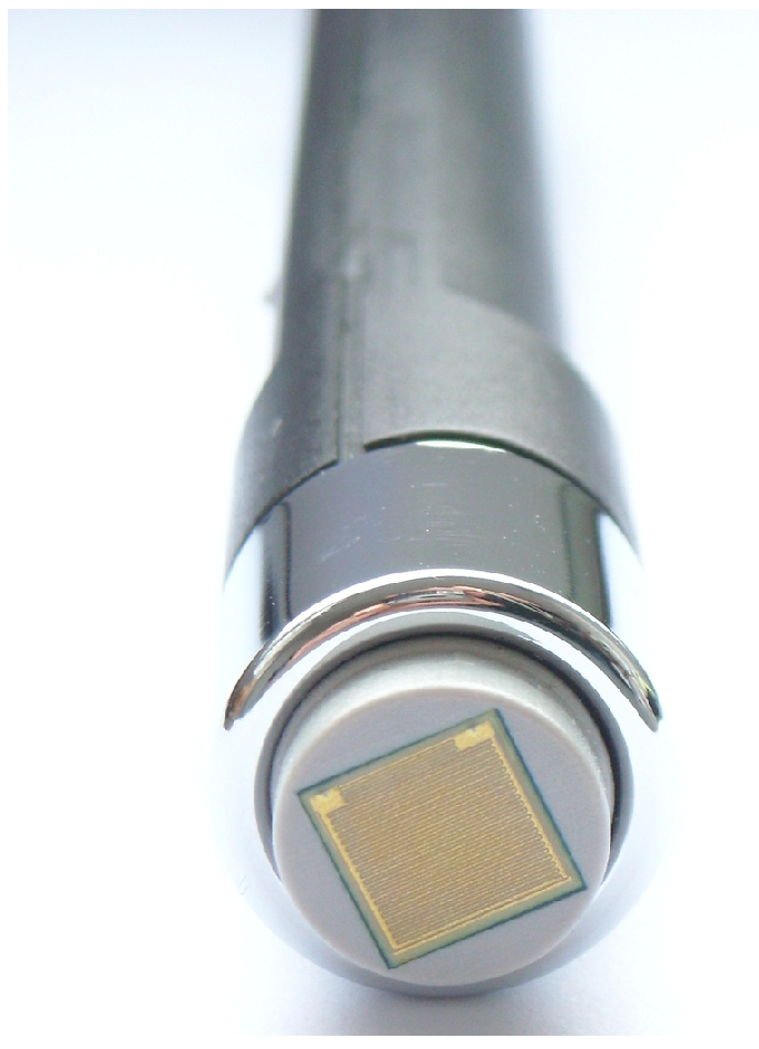 Cosmetics 12 00256 g001