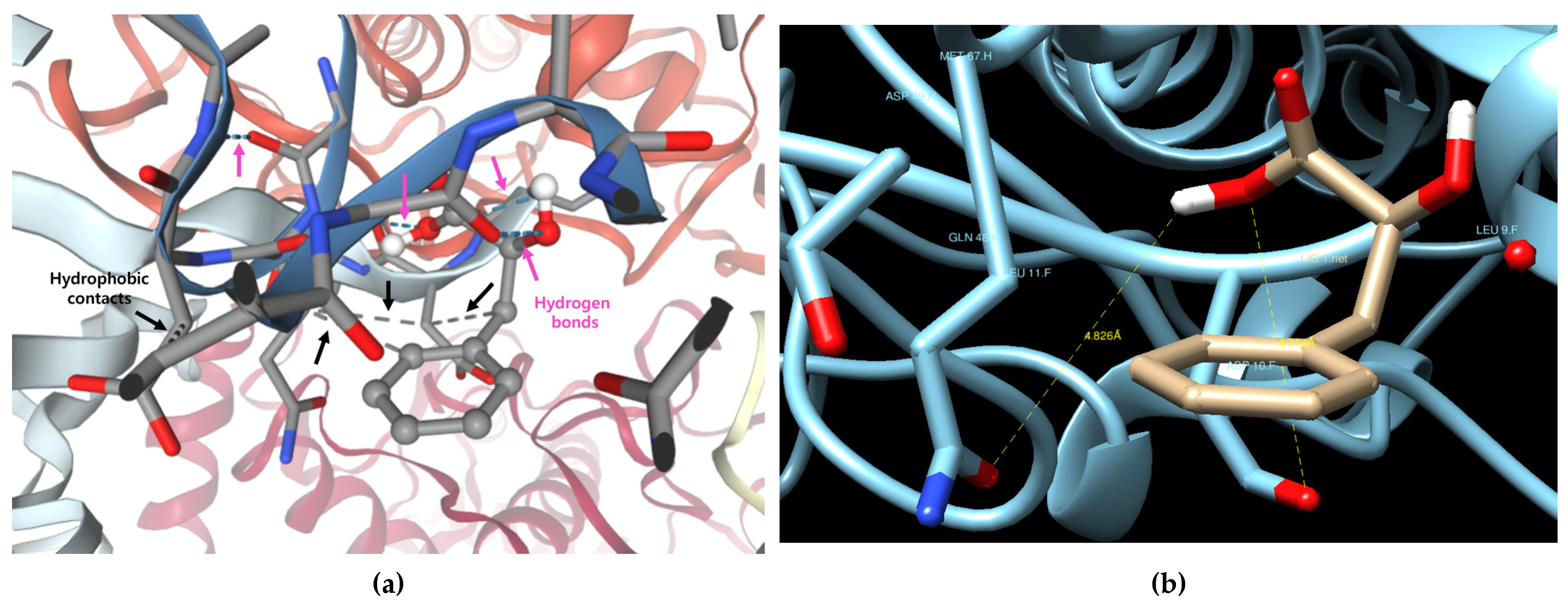 Cosmetics 12 00258 g002 Cosmetics 12 00258 g002
