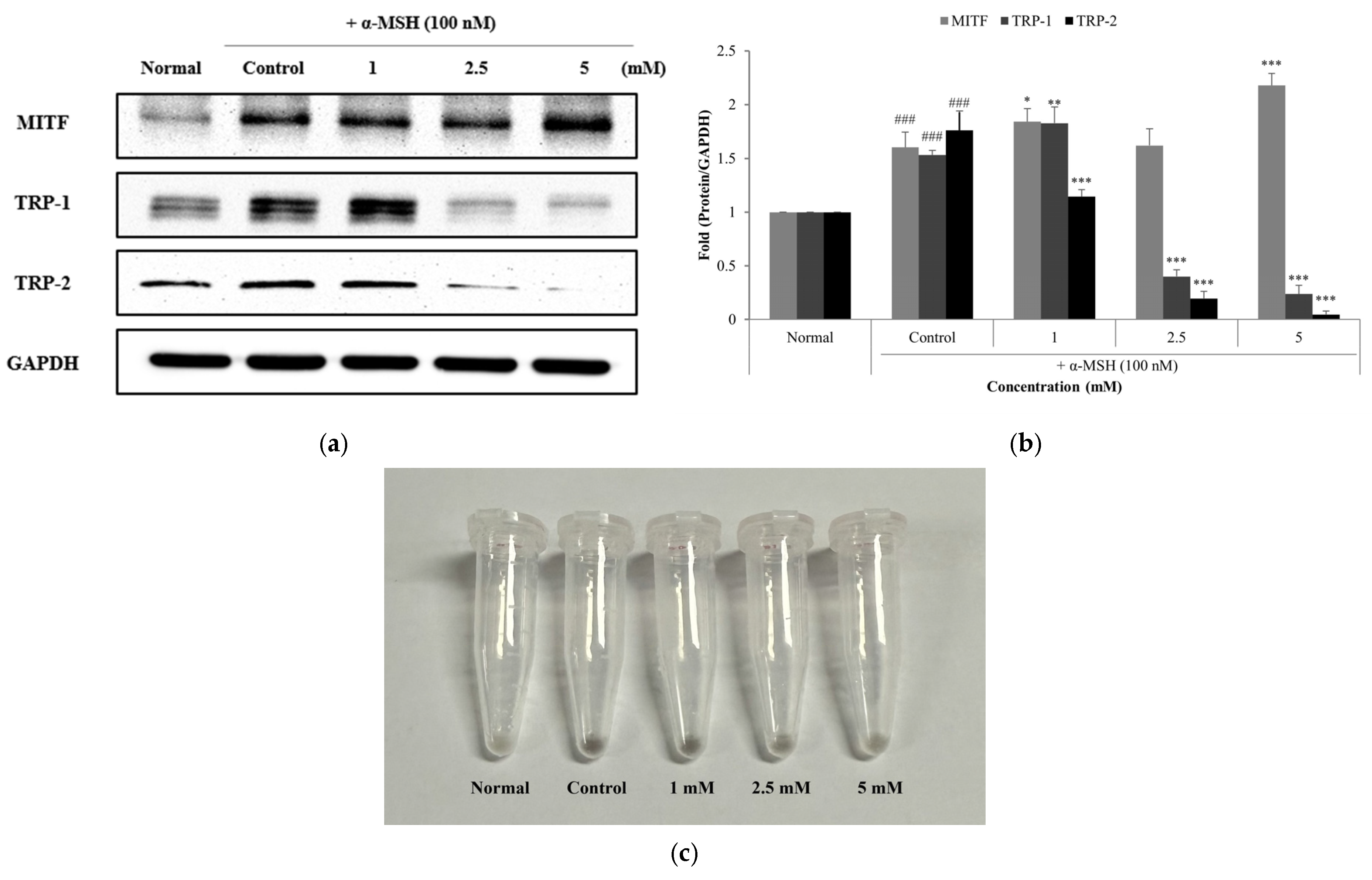 Cosmetics 12 00258 g006 Cosmetics 12 00258 g006