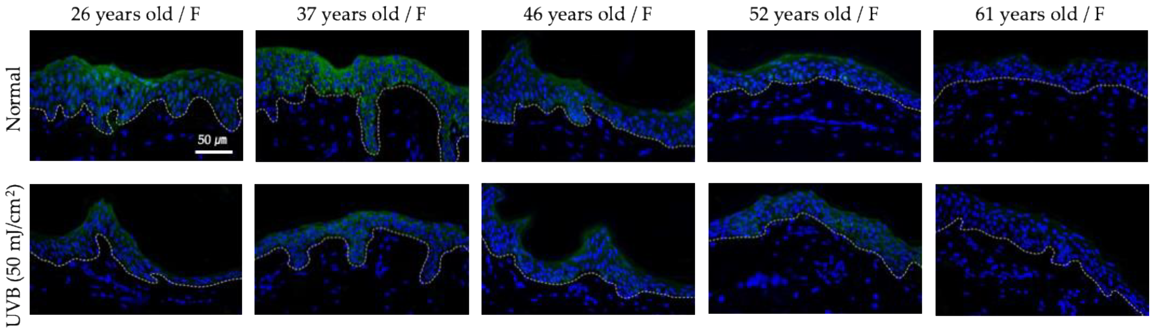 Cosmetics 12 00260 g002