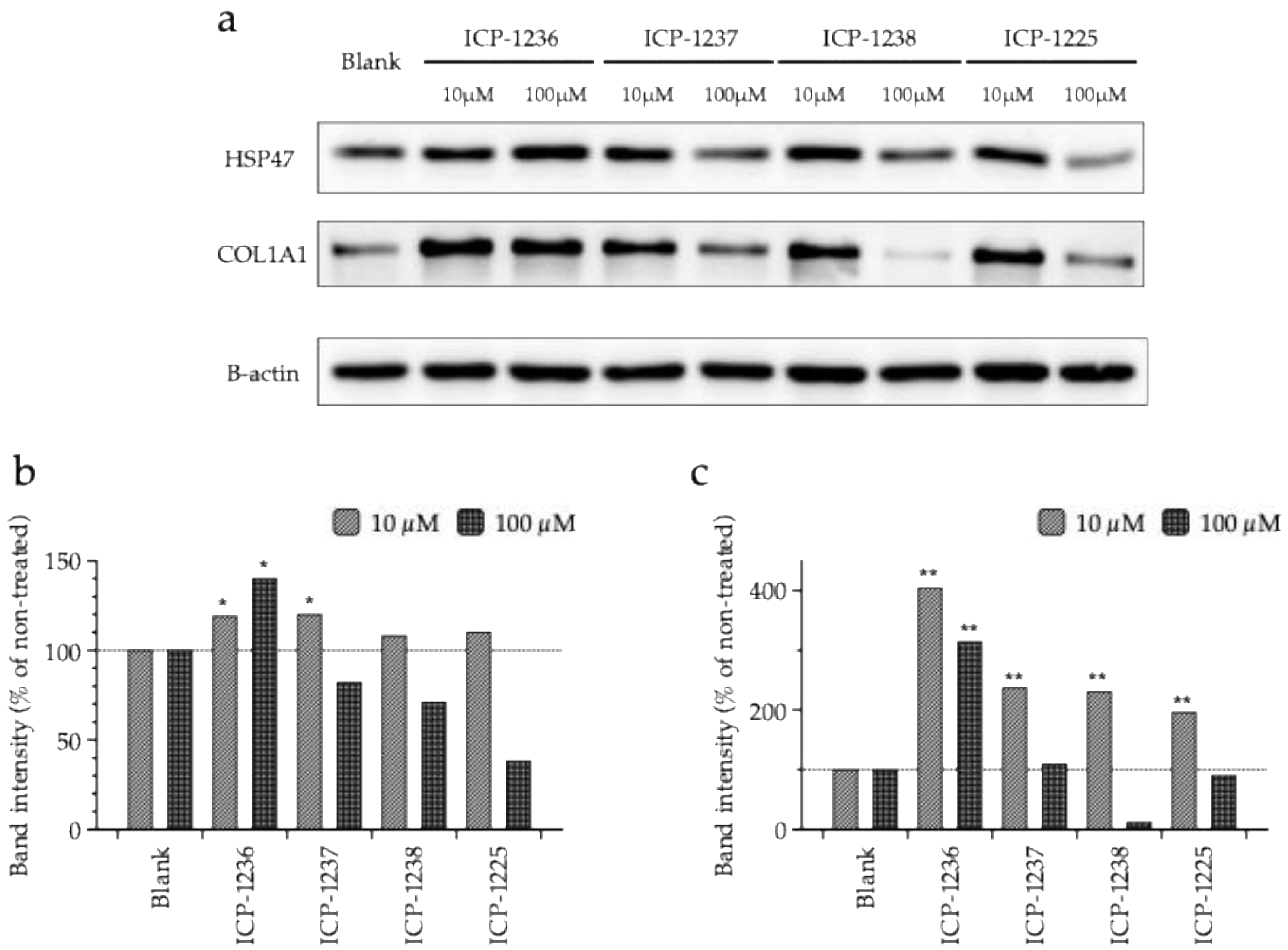 Cosmetics 12 00260 g005