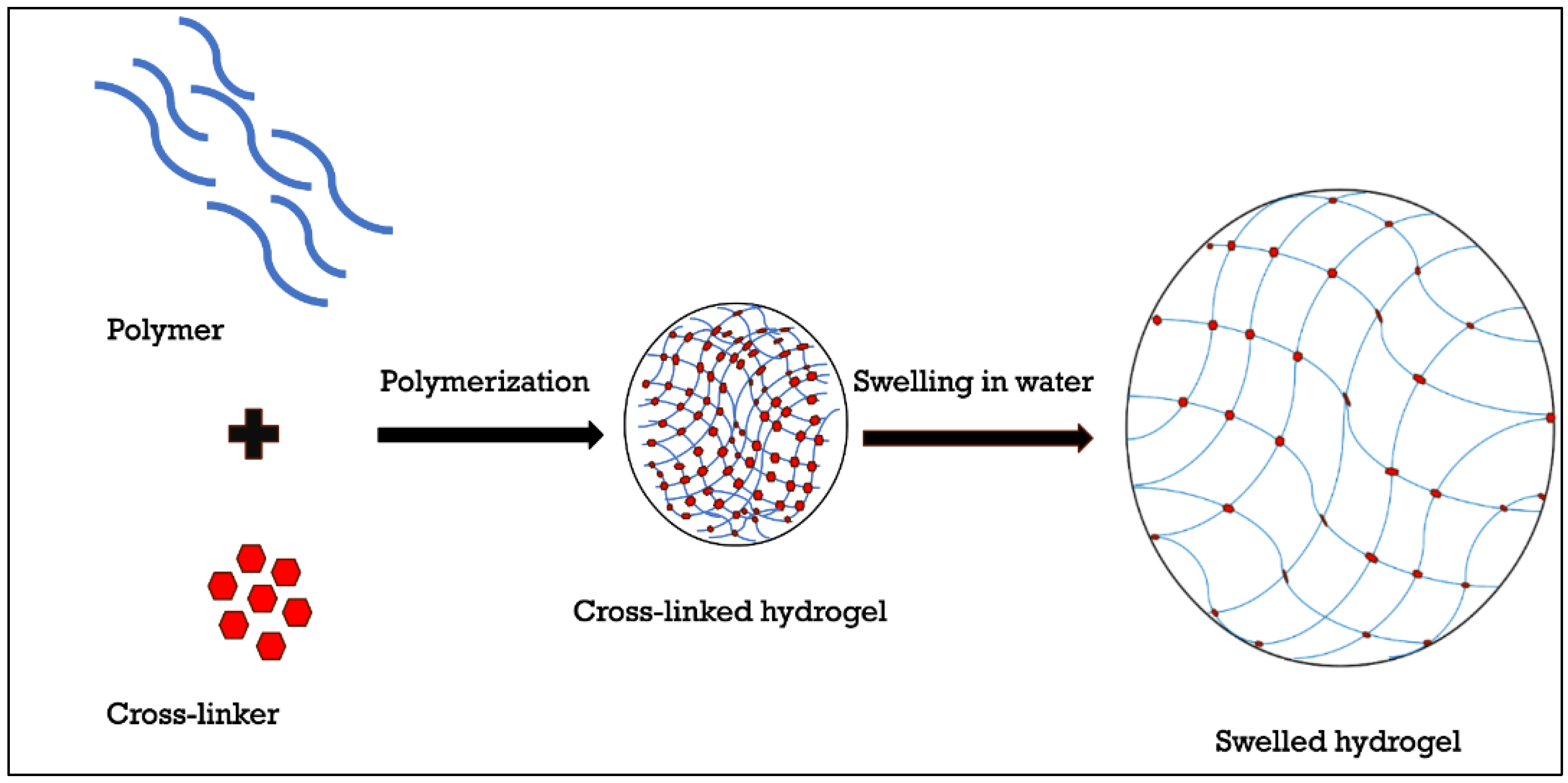 Cosmetics 12 00265 g001