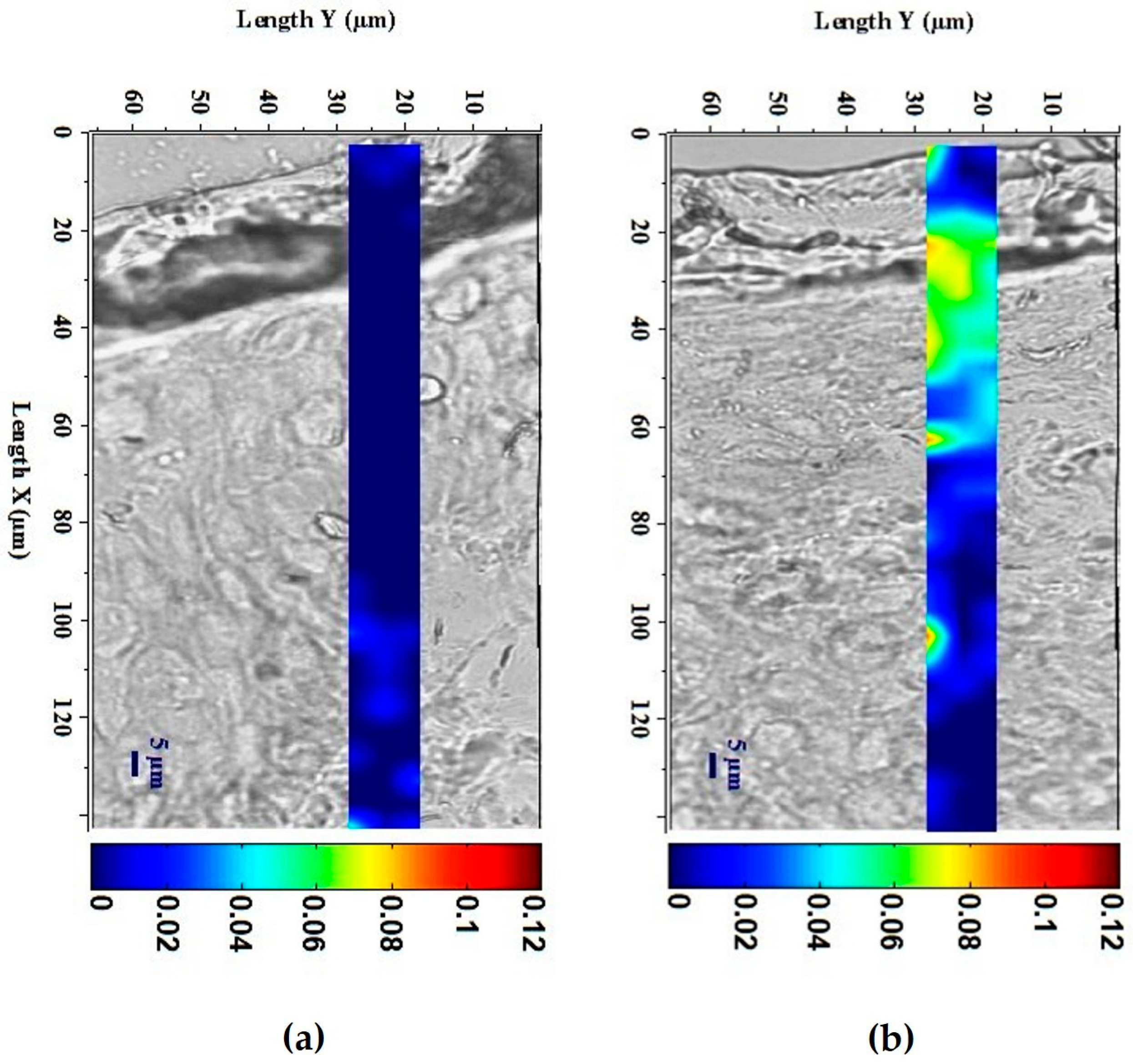 Cosmetics 12 00266 g002