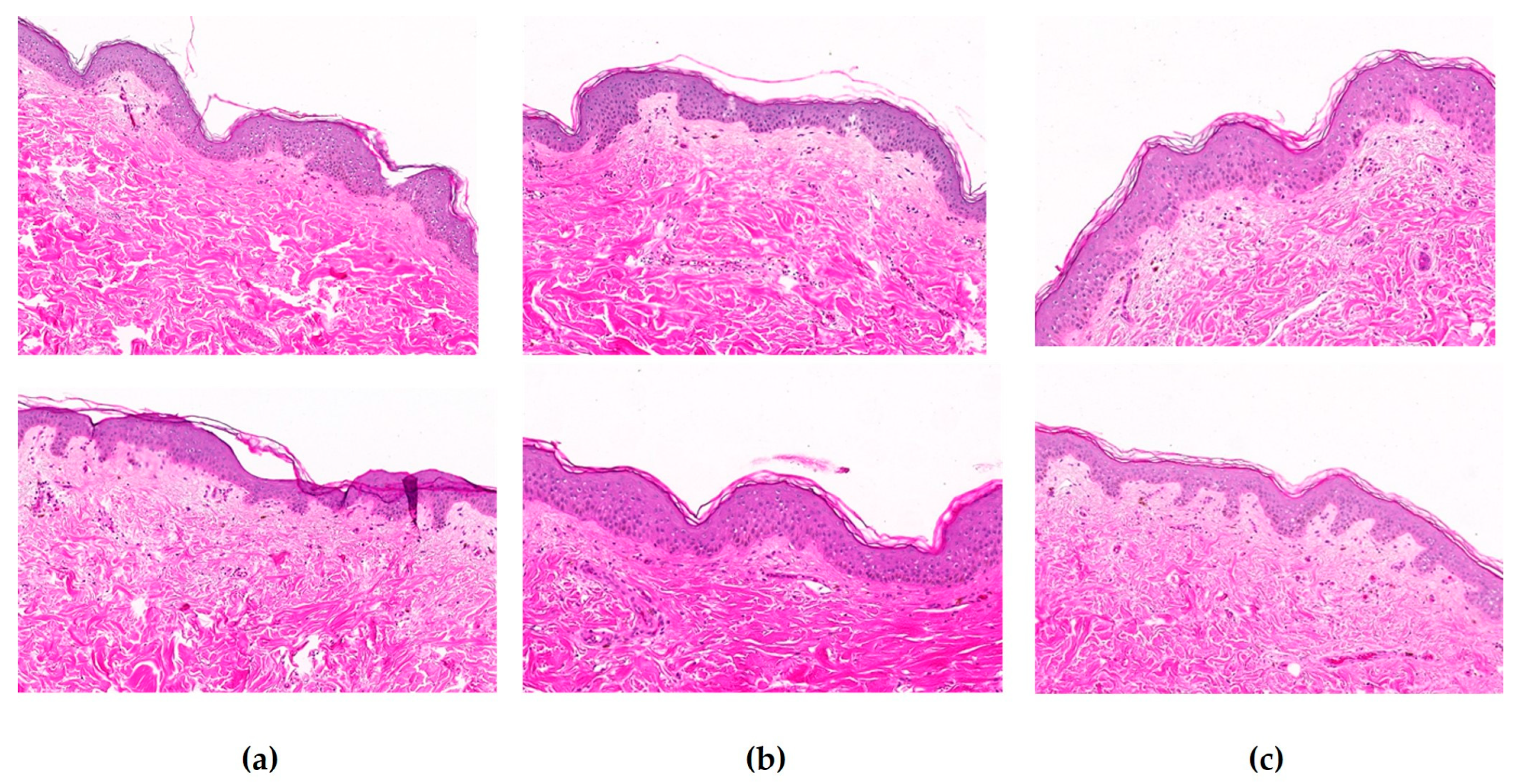 Cosmetics 12 00266 g004