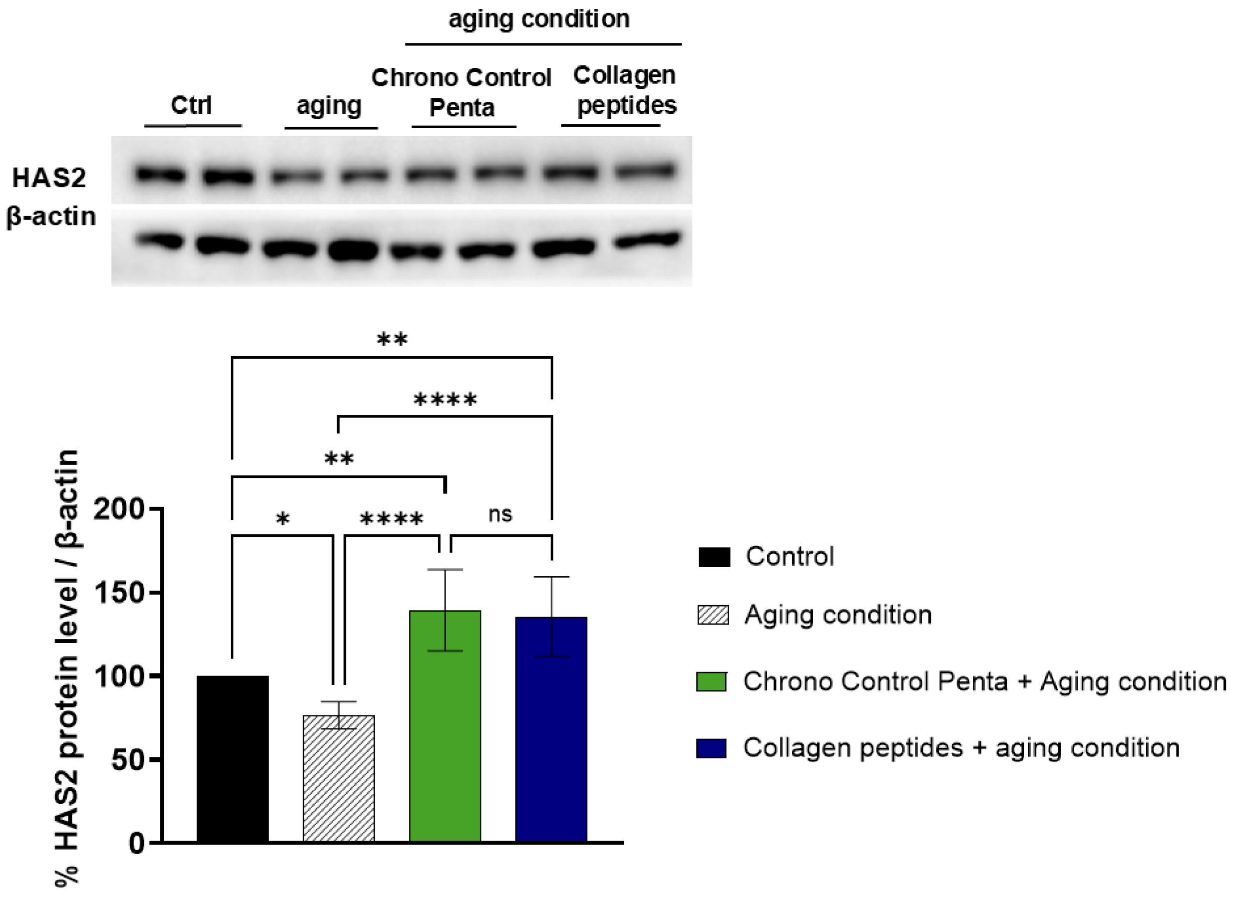 Cosmetics 12 00267 g002