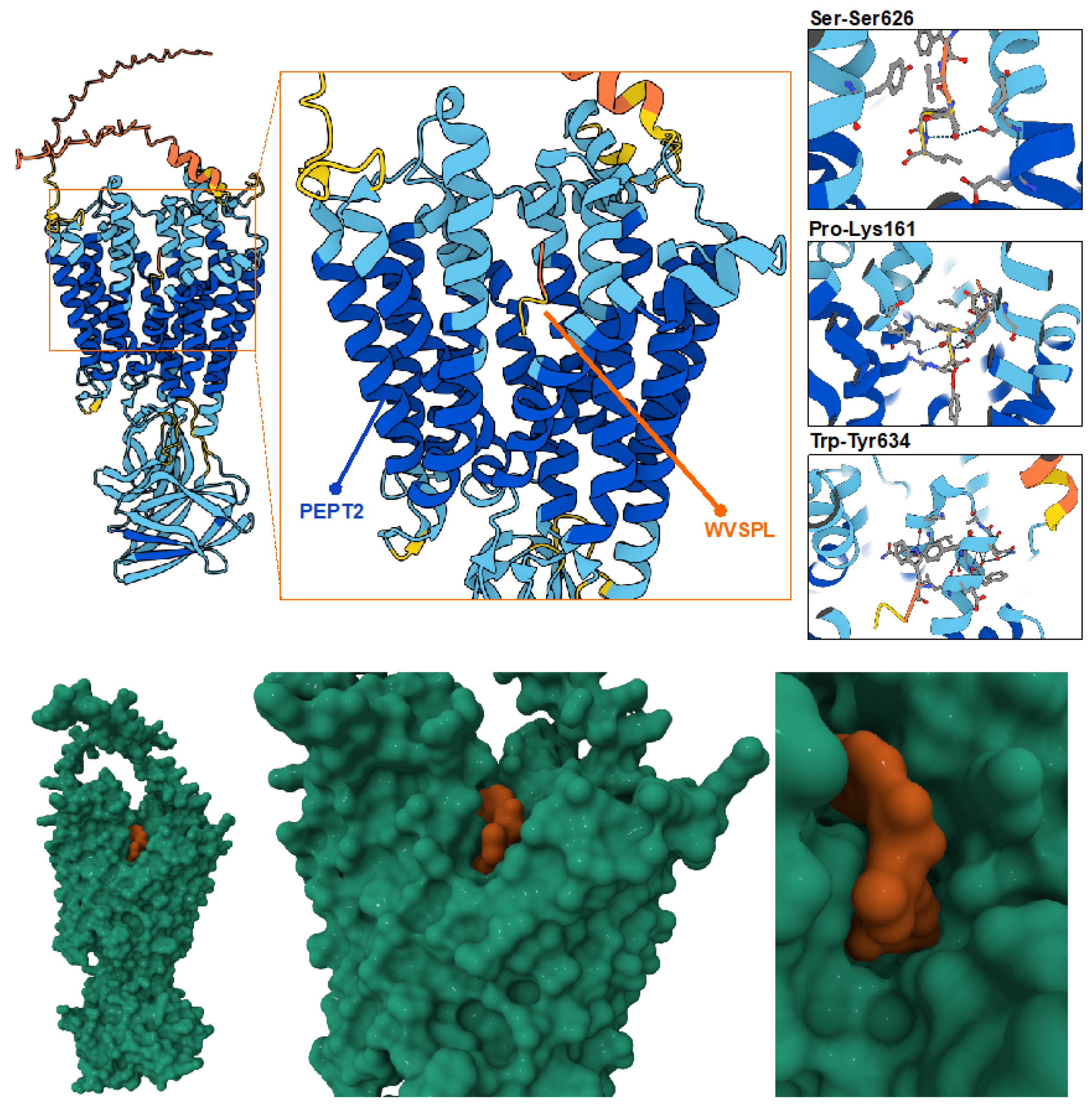 Cosmetics 12 00267 g005