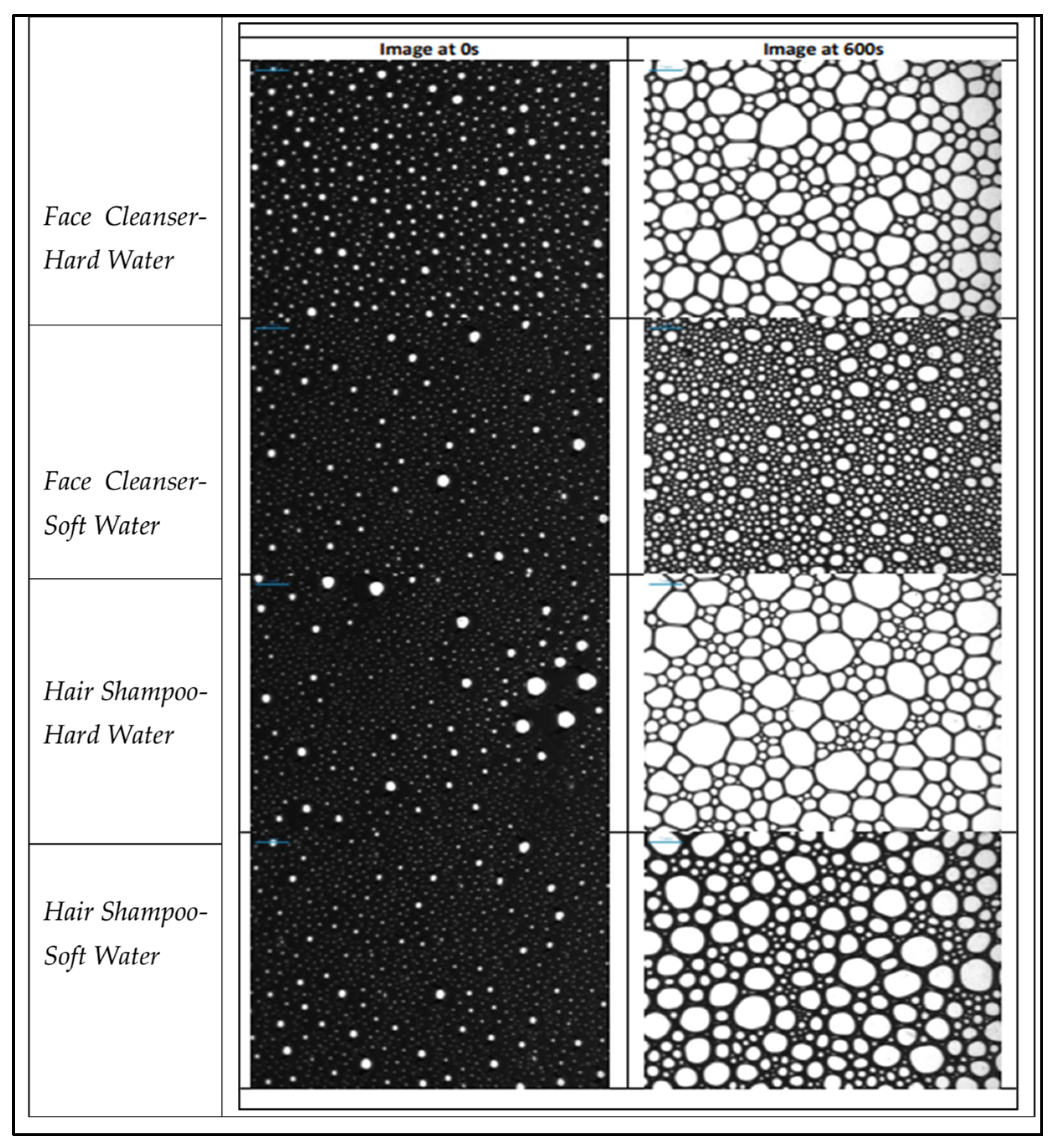 Cosmetics 12 00270 g002