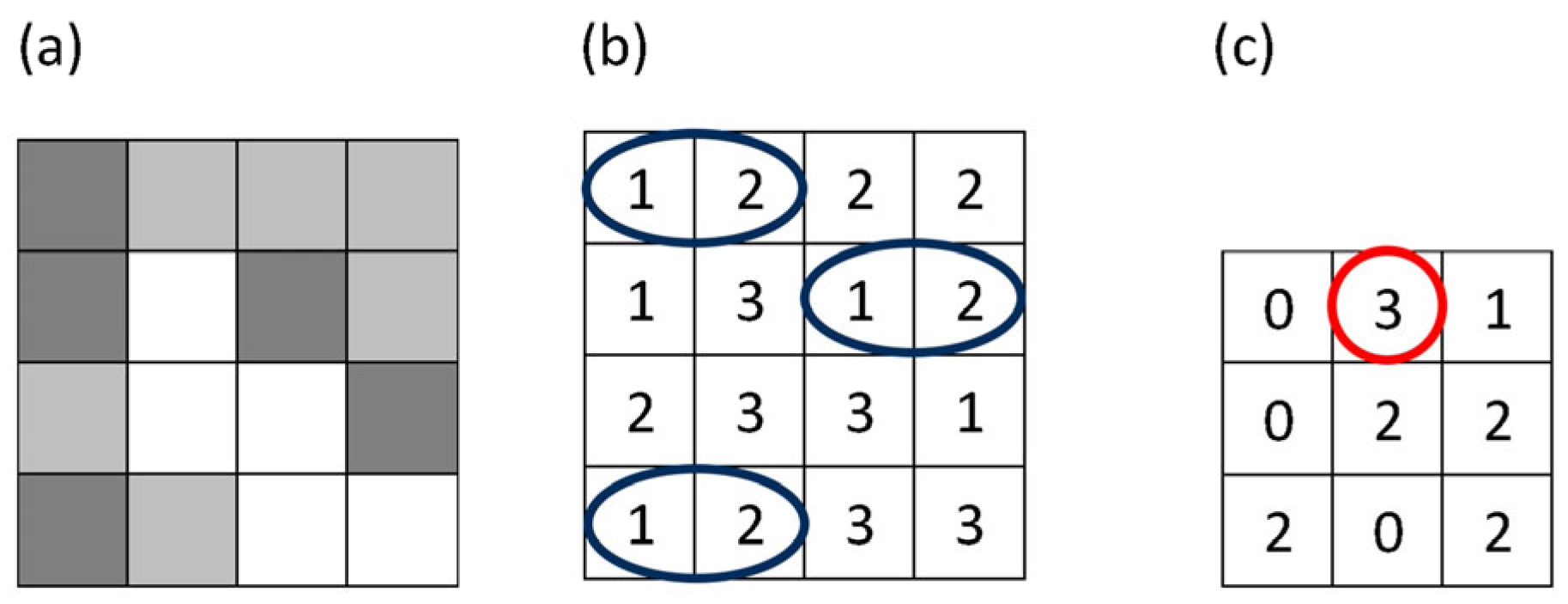 Cosmetics 12 00276 g001