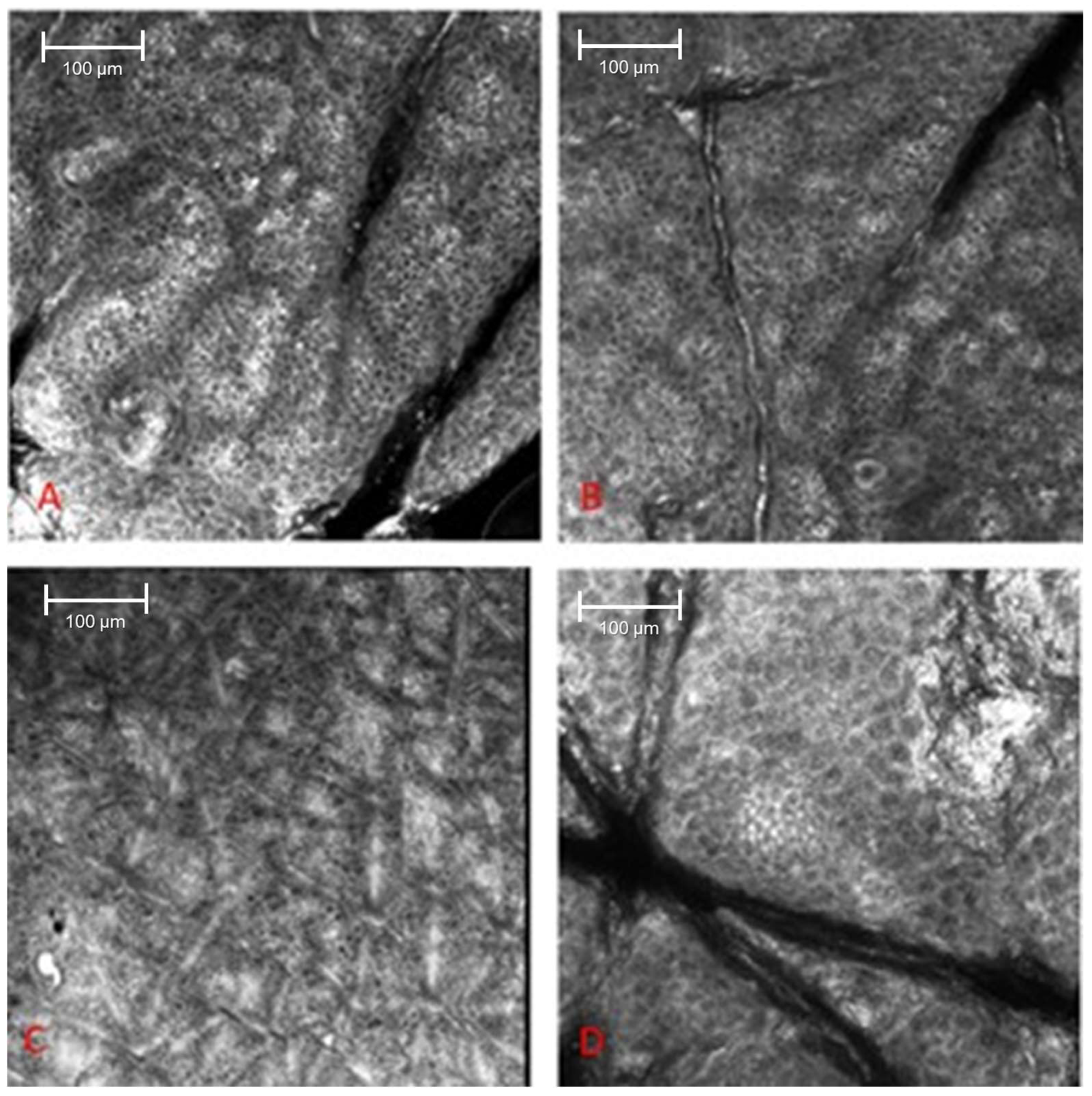 Cosmetics 12 00280 g002 Cosmetics 12 00280 g002