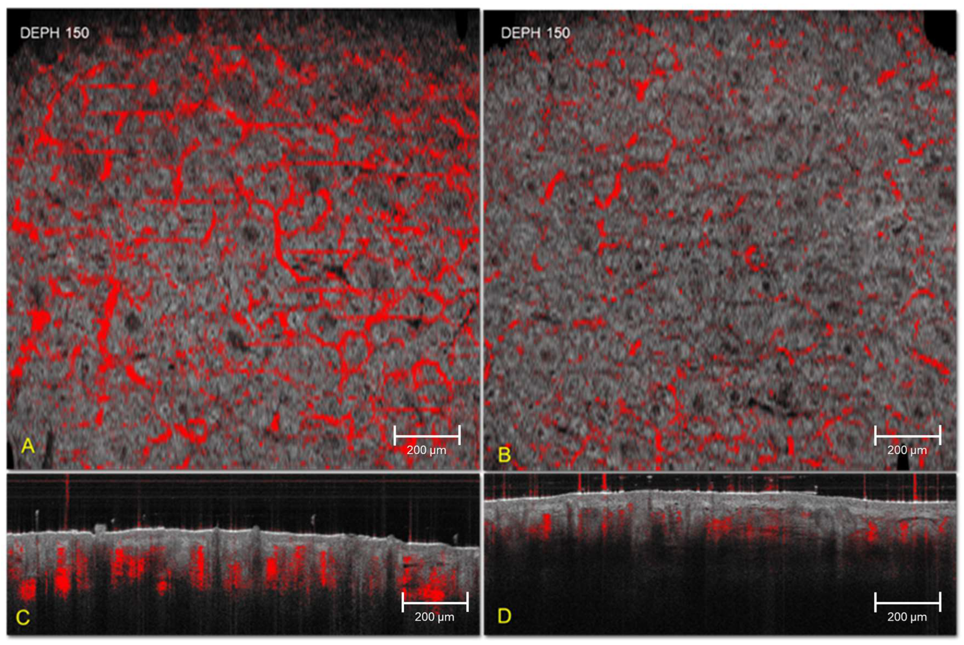 Cosmetics 12 00280 g003 Cosmetics 12 00280 g003