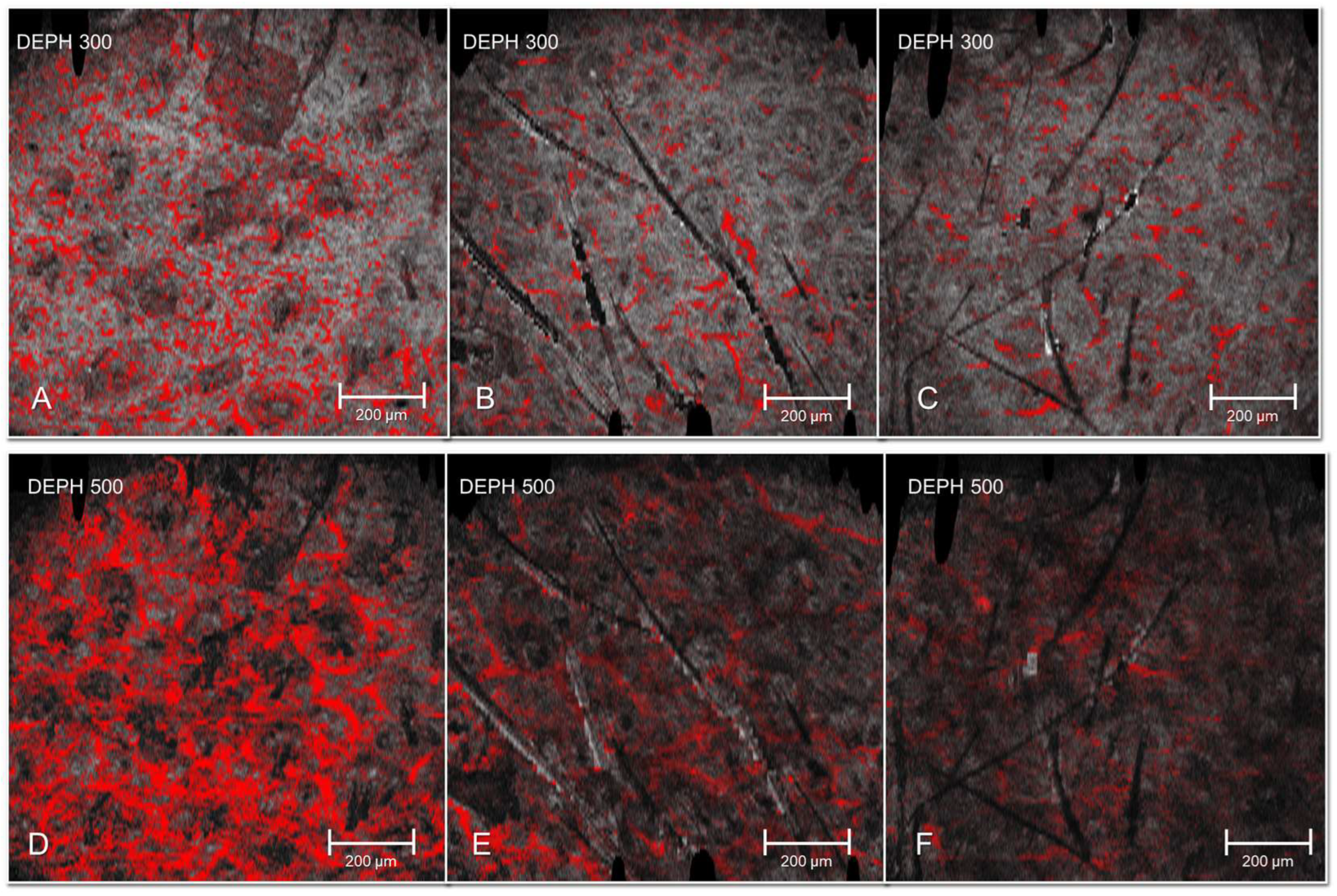 Cosmetics 12 00280 g004 Cosmetics 12 00280 g004