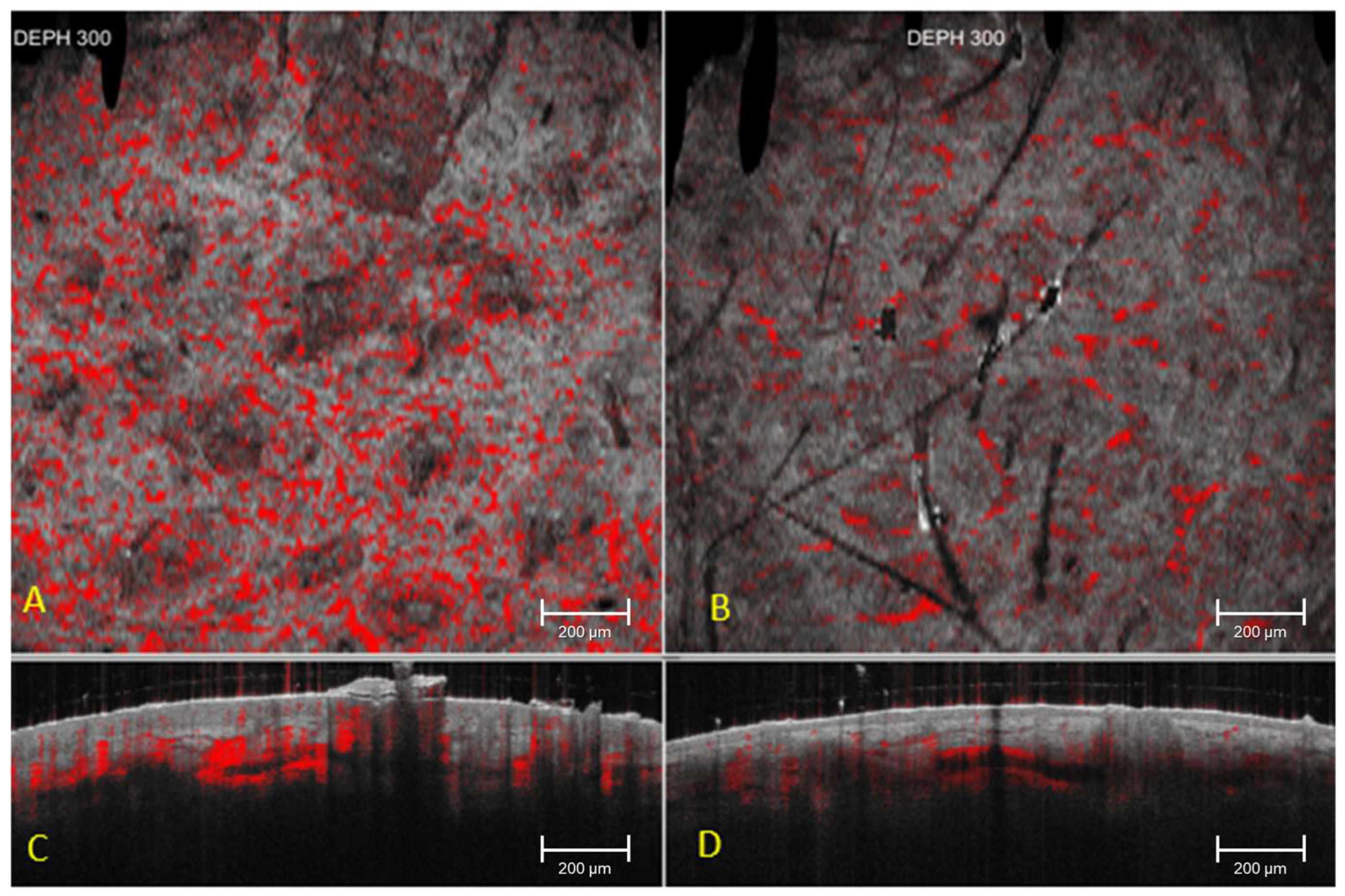 Cosmetics 12 00280 g005 Cosmetics 12 00280 g005