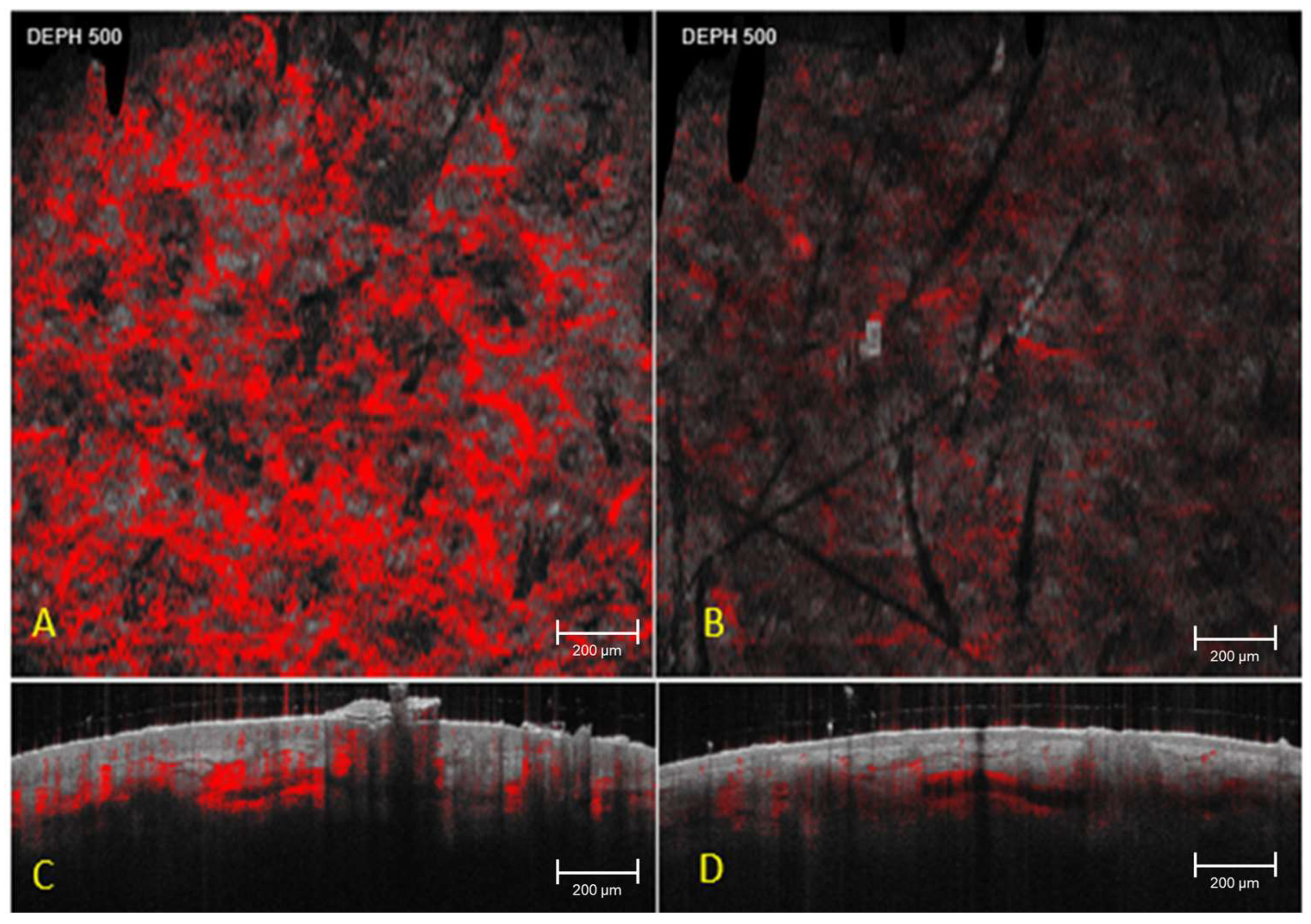 Cosmetics 12 00280 g006 Cosmetics 12 00280 g006