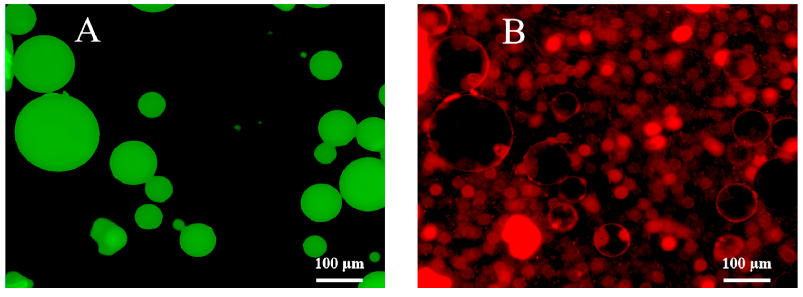 Cosmetics 12 00281 g007 Cosmetics 12 00281 g007