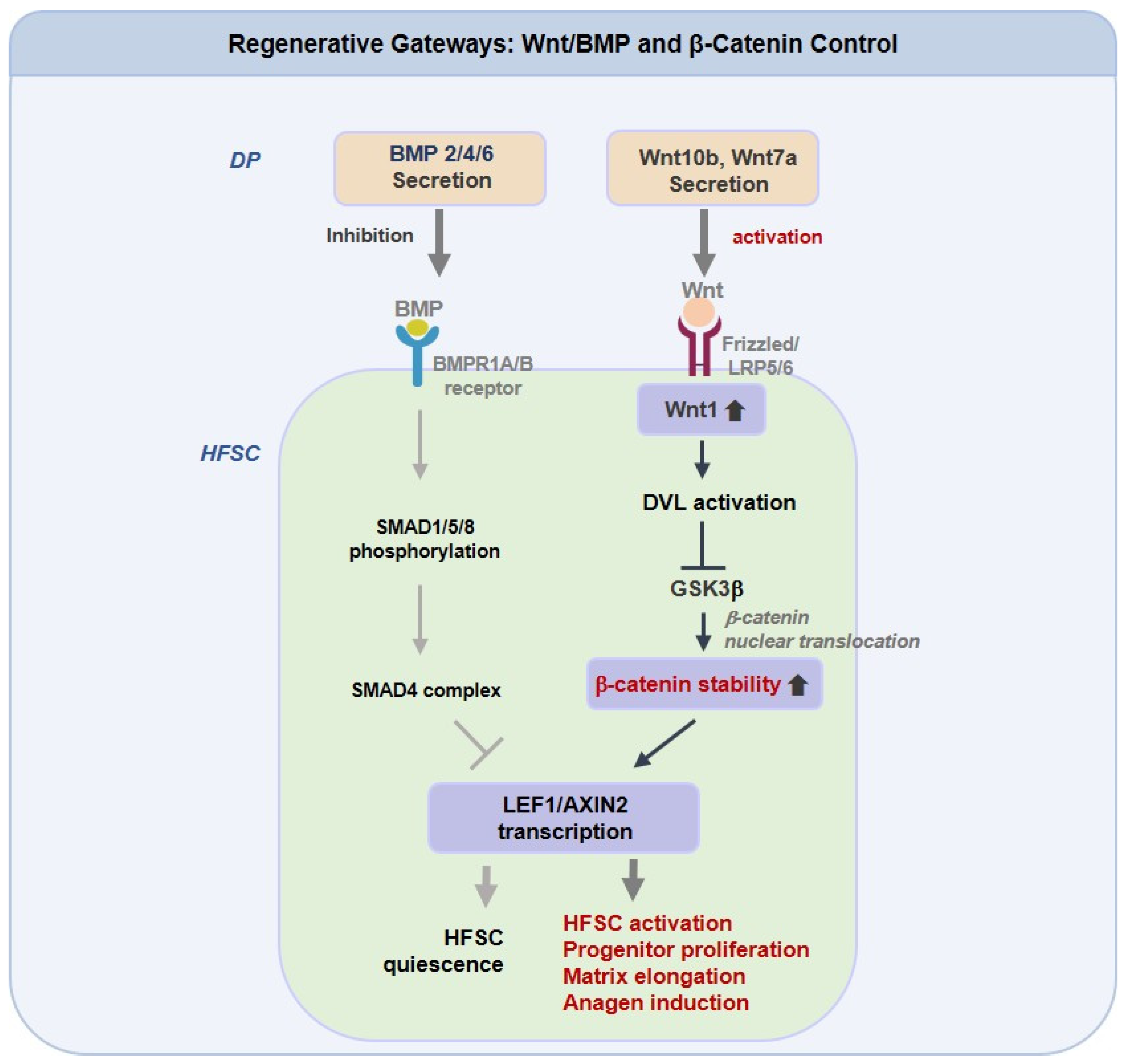 Cosmetics 12 00287 g002 Cosmetics 12 00287 g002