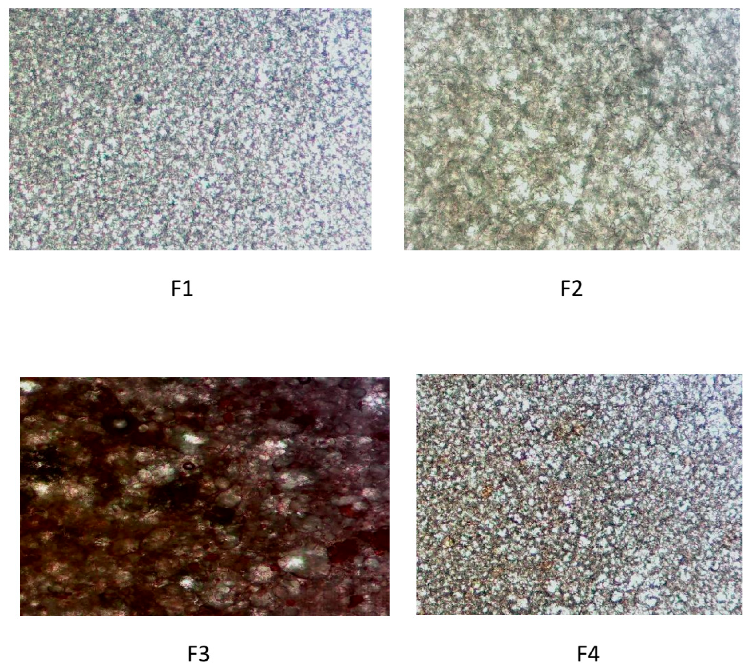 Cosmetics 13 00006 g004