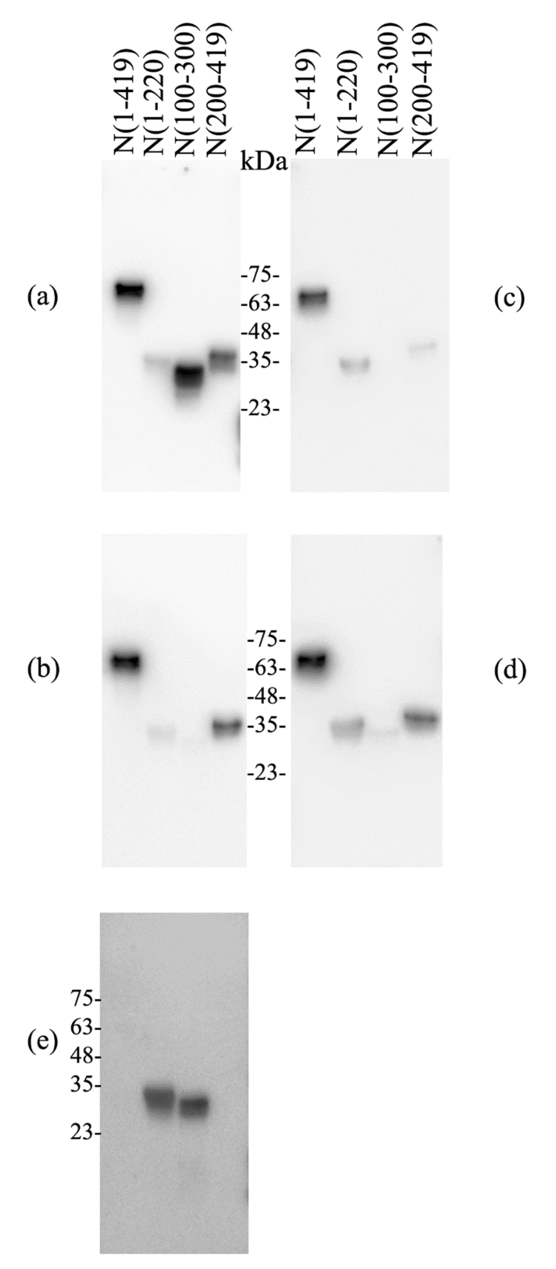 Covid 01 00009 g001 Covid 01 00009 g001