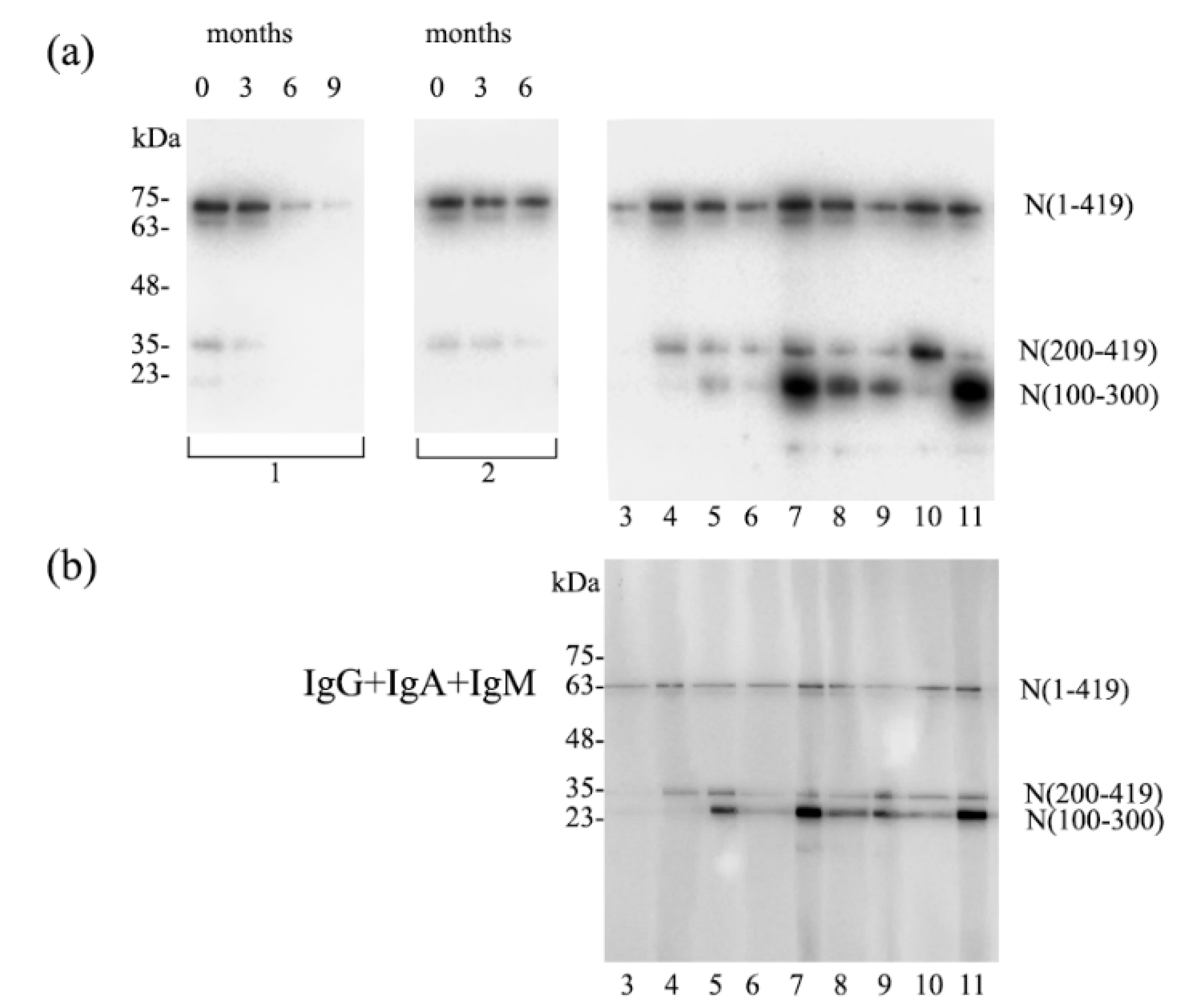 Covid 01 00009 g002 Covid 01 00009 g002