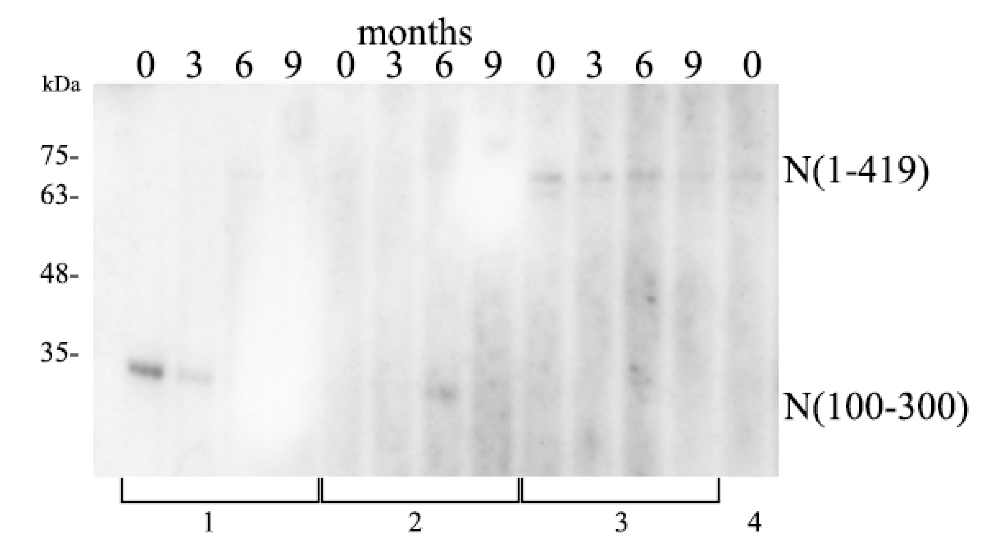 Covid 01 00009 g003 Covid 01 00009 g003