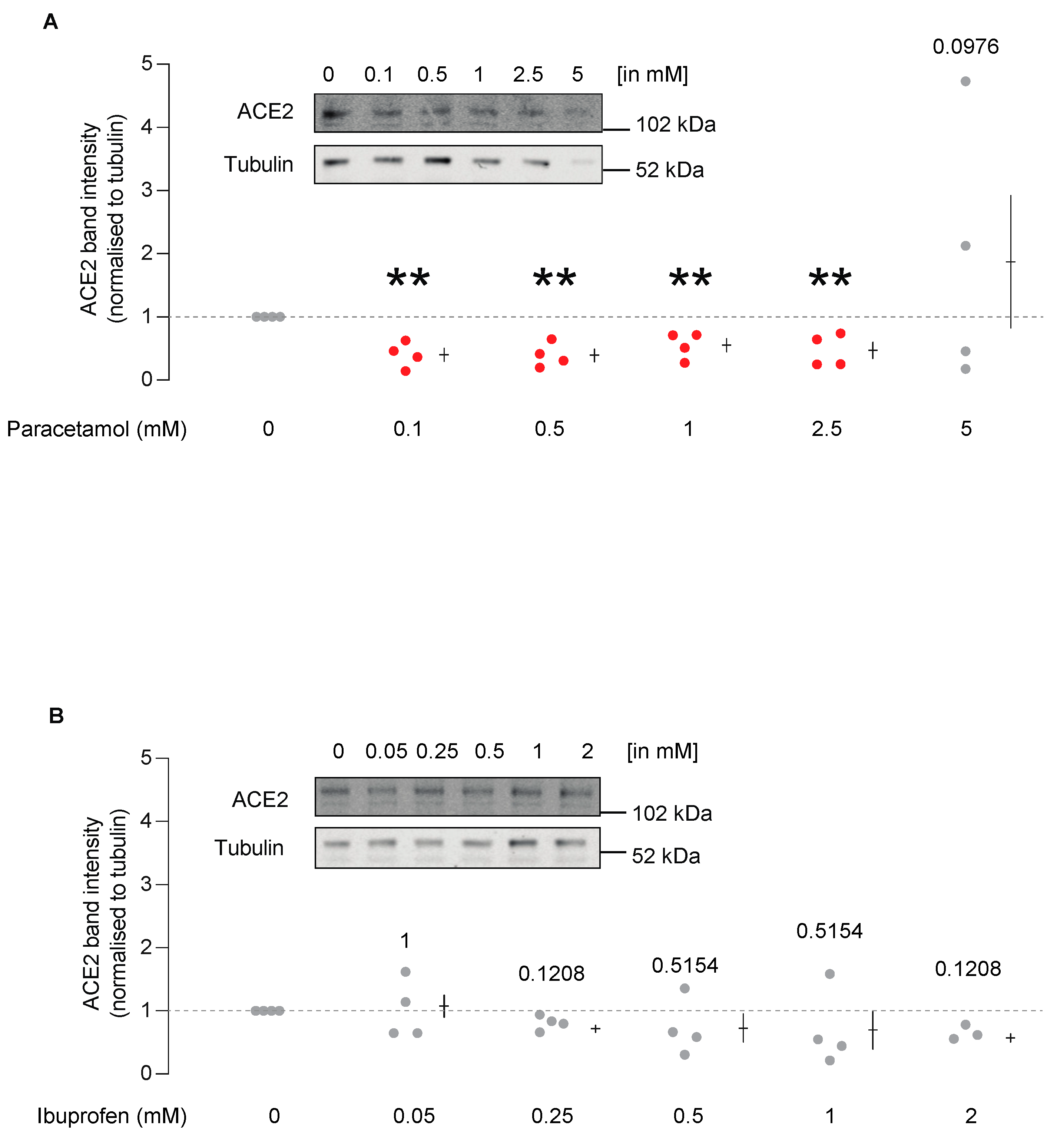 Covid 01 00018 g005 Covid 01 00018 g005