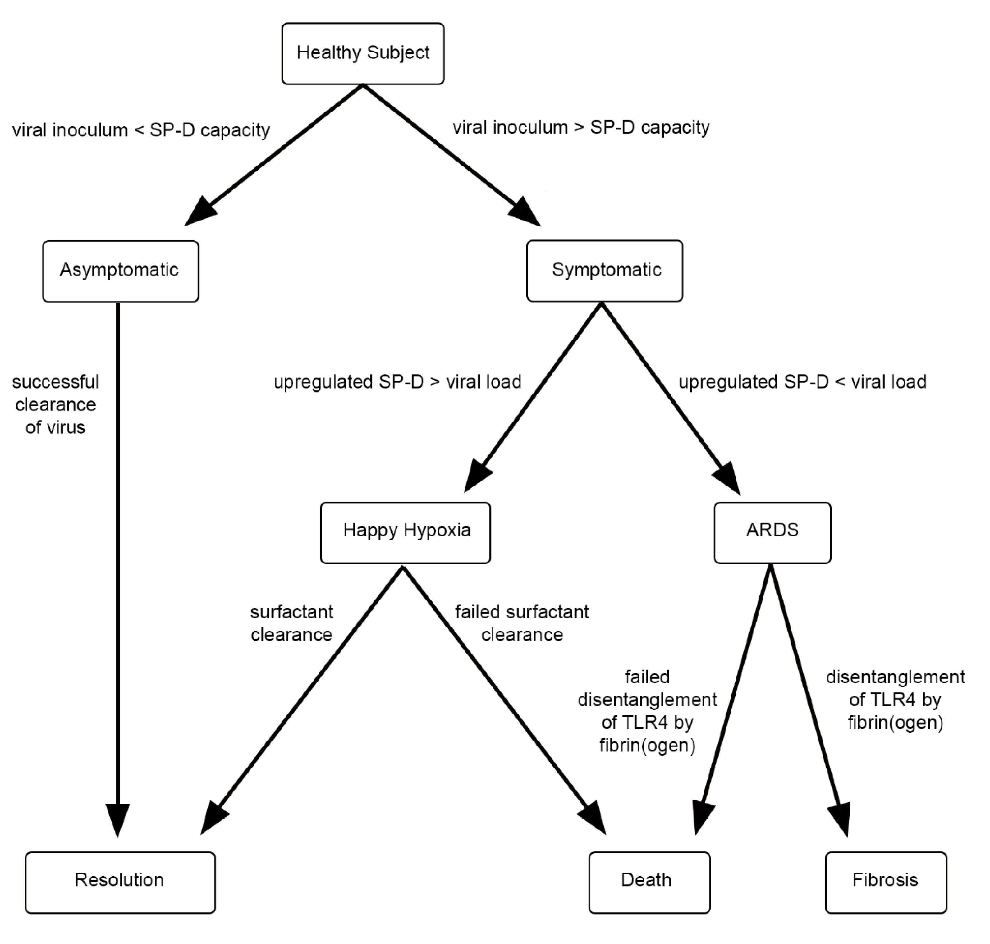 Covid 01 00040 g001 Covid 01 00040 g001