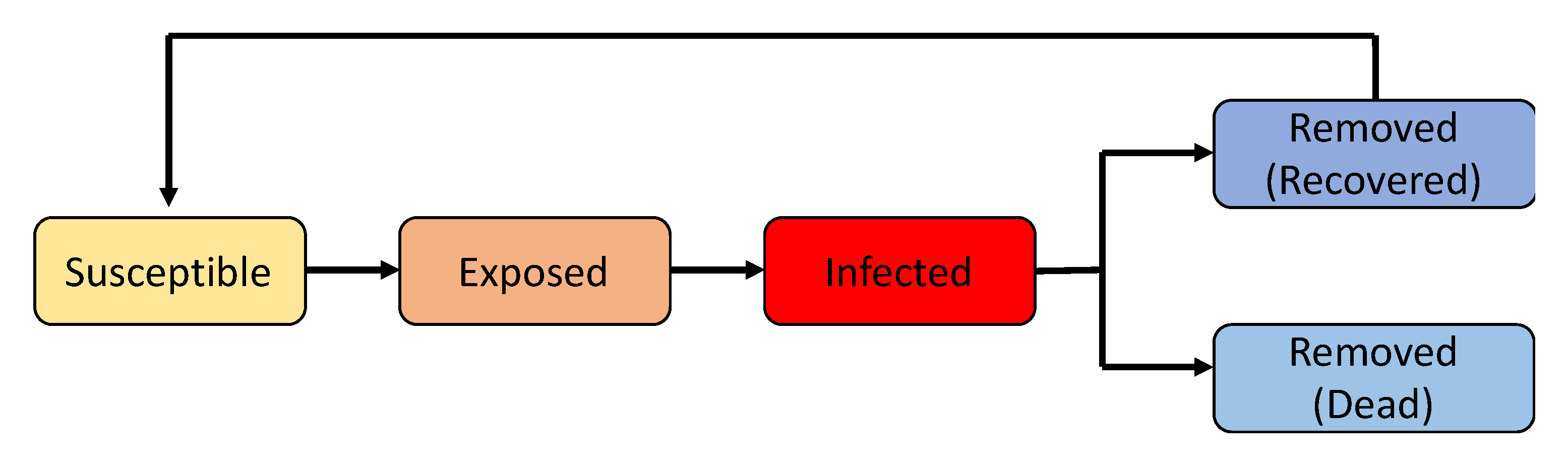 Covid 01 00045 g001 550