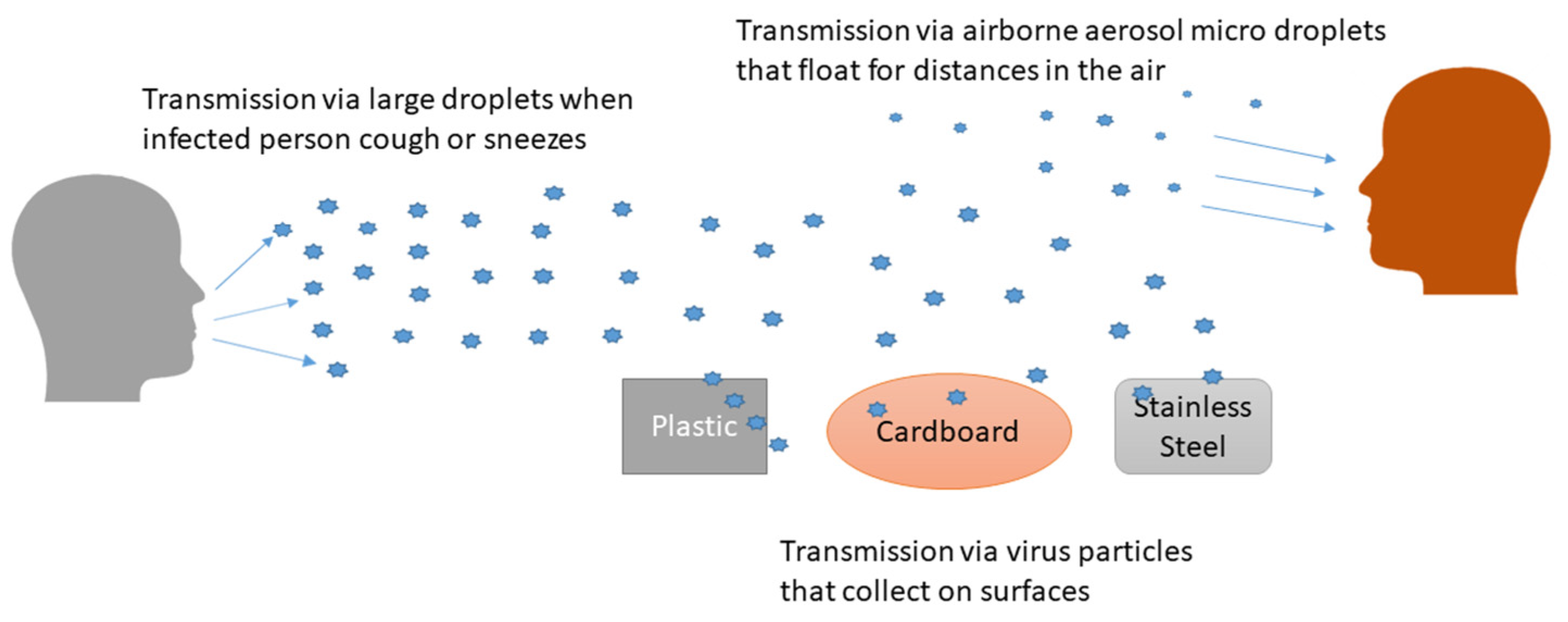 Covid 01 00048 g002 550