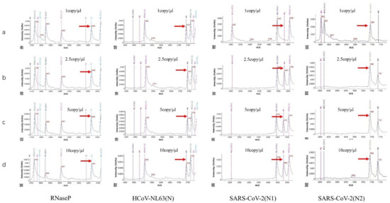Covid 02 00002 g002 550