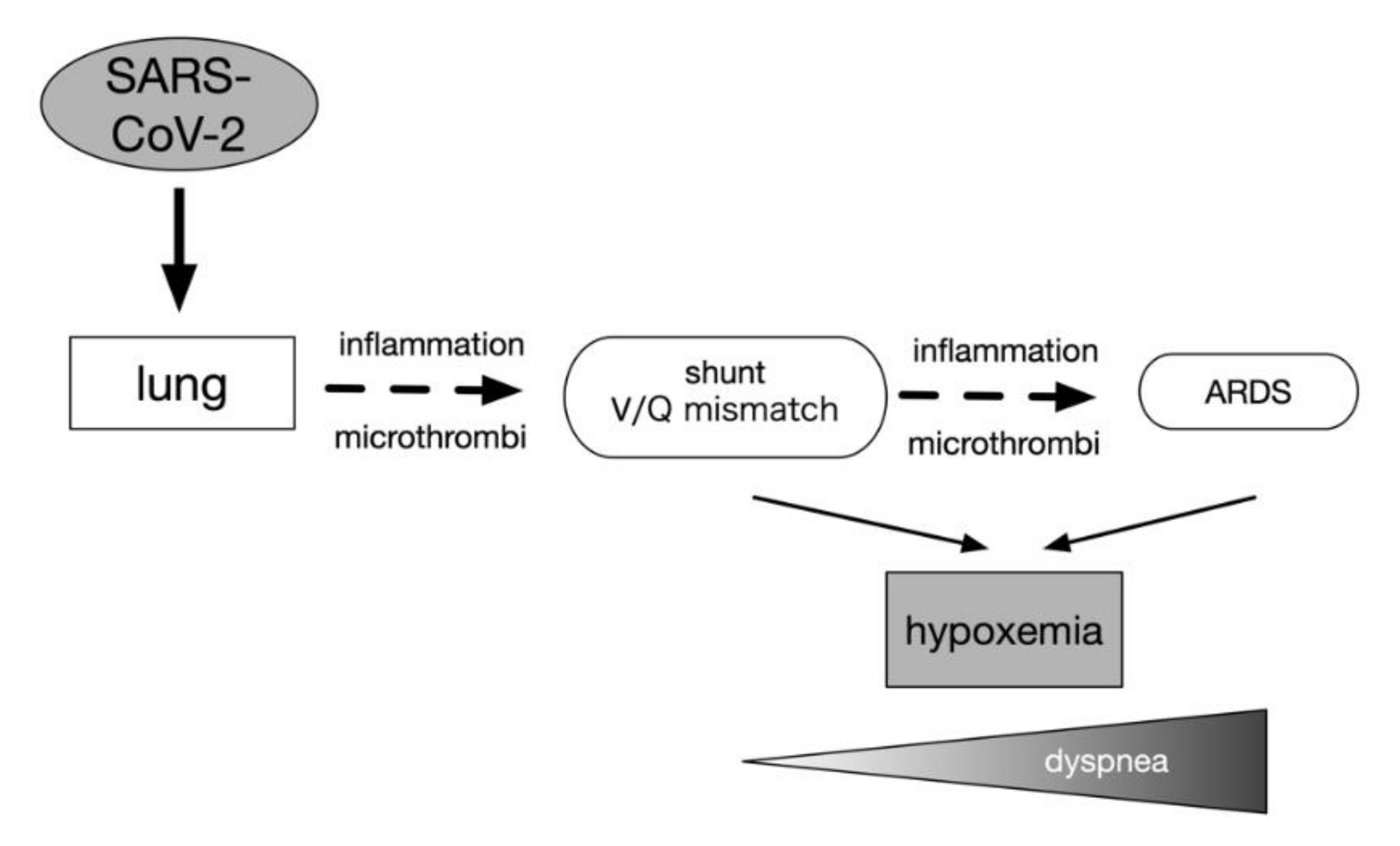 Covid 02 00004 g002 550