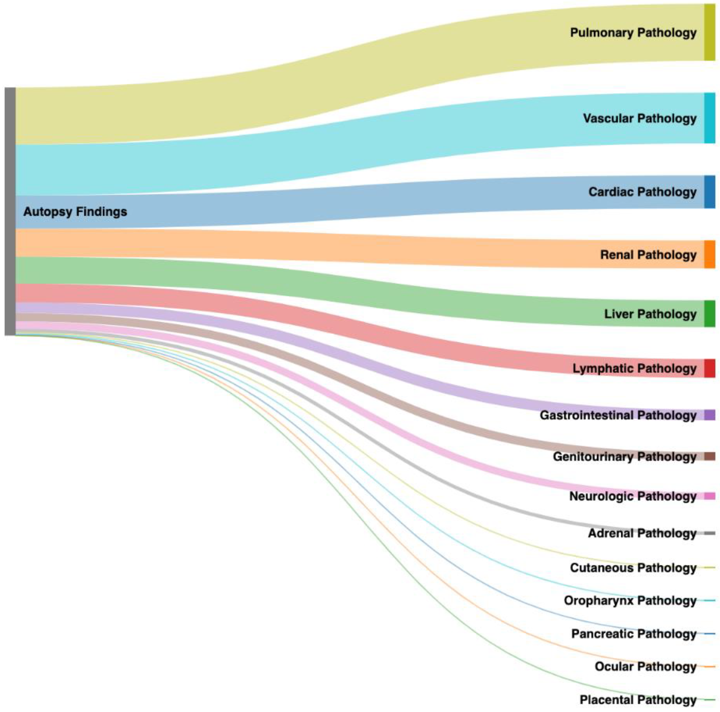 Covid 02 00041 g001 550