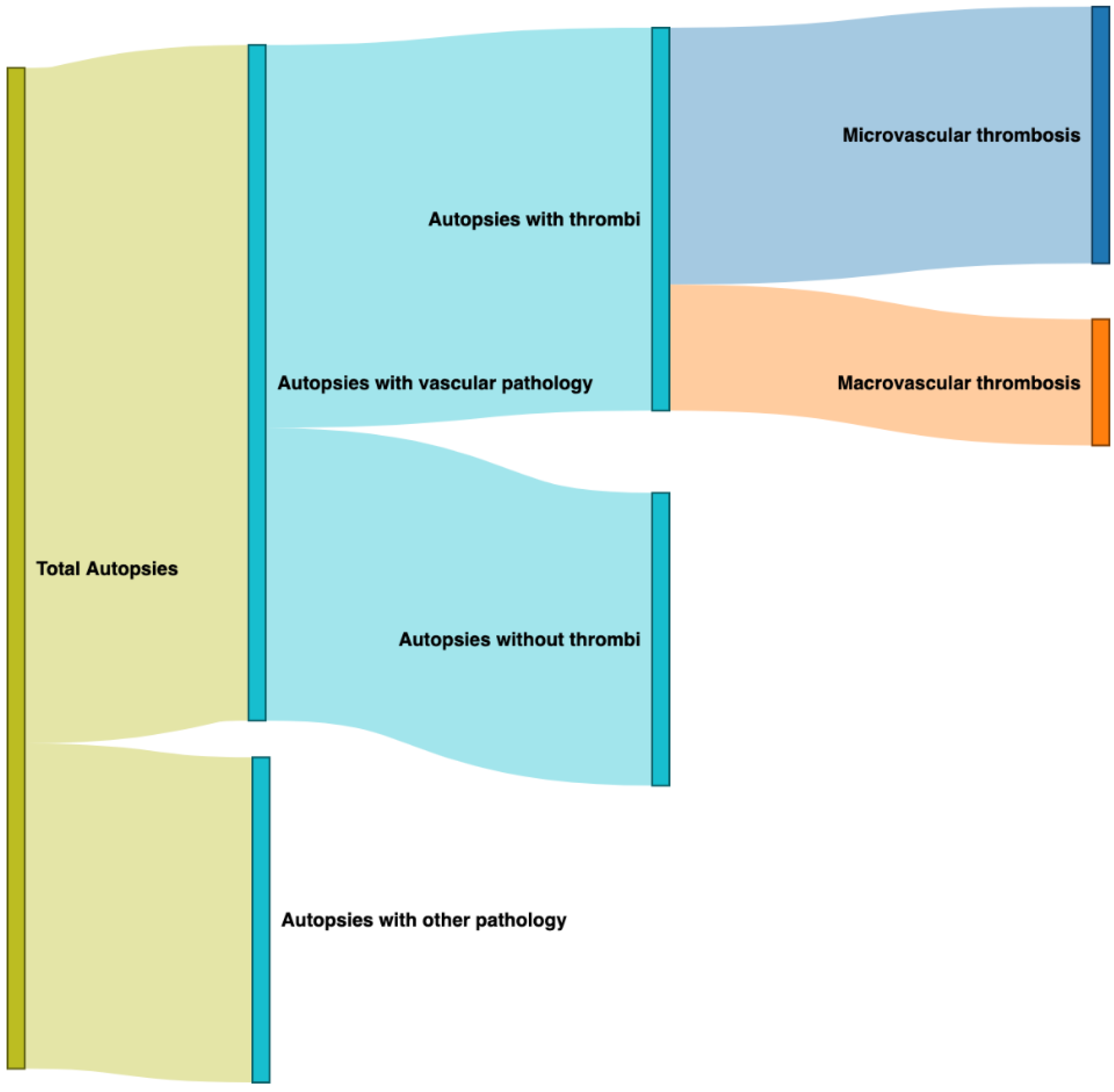 Covid 02 00041 g003 550