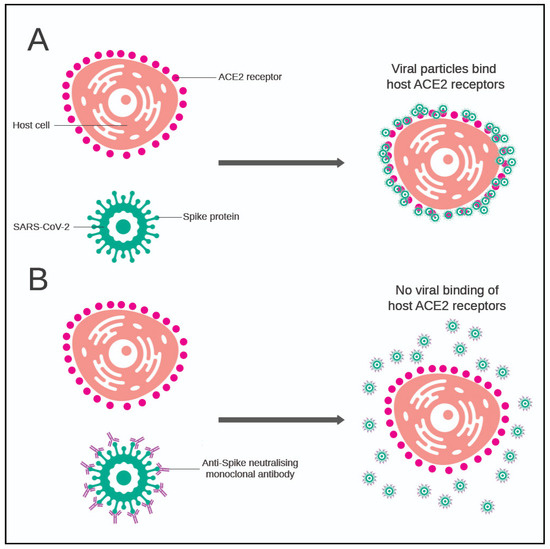 FDA won't comment on status of Emergency Use Authorizations for two  antibody treatments