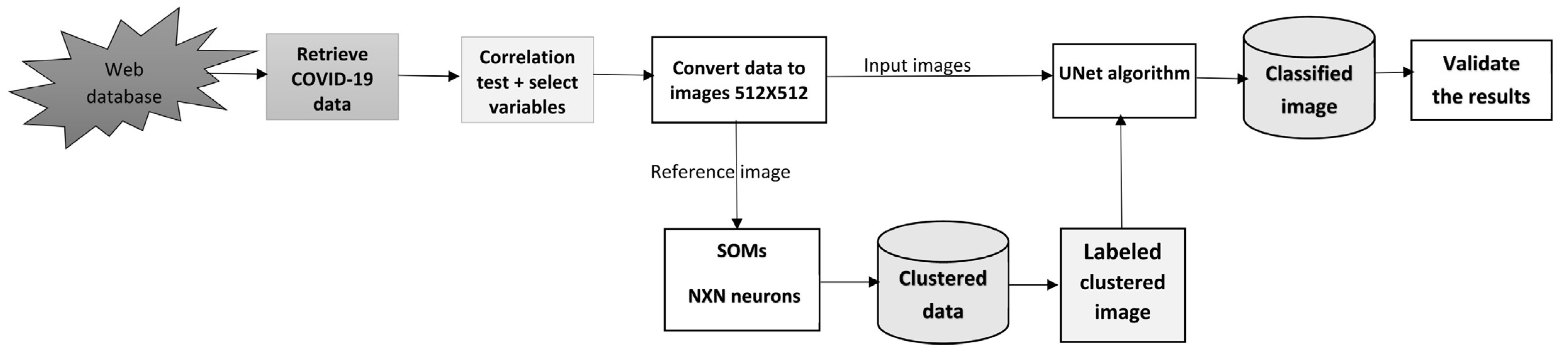 Covid 02 00051 g001 550