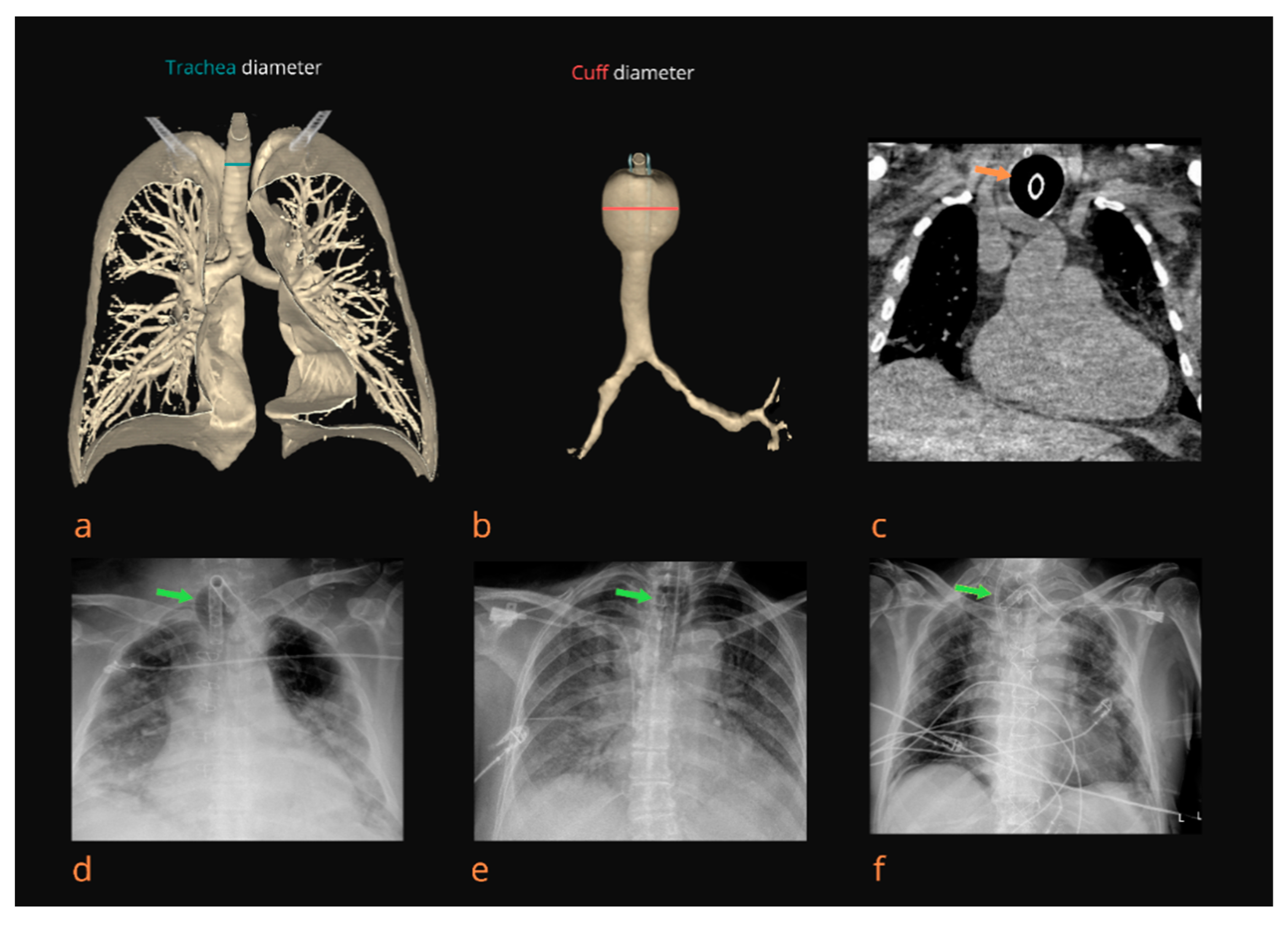 Covid 02 00054 g001 550